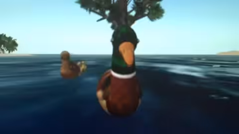 Duck Rotation NFT