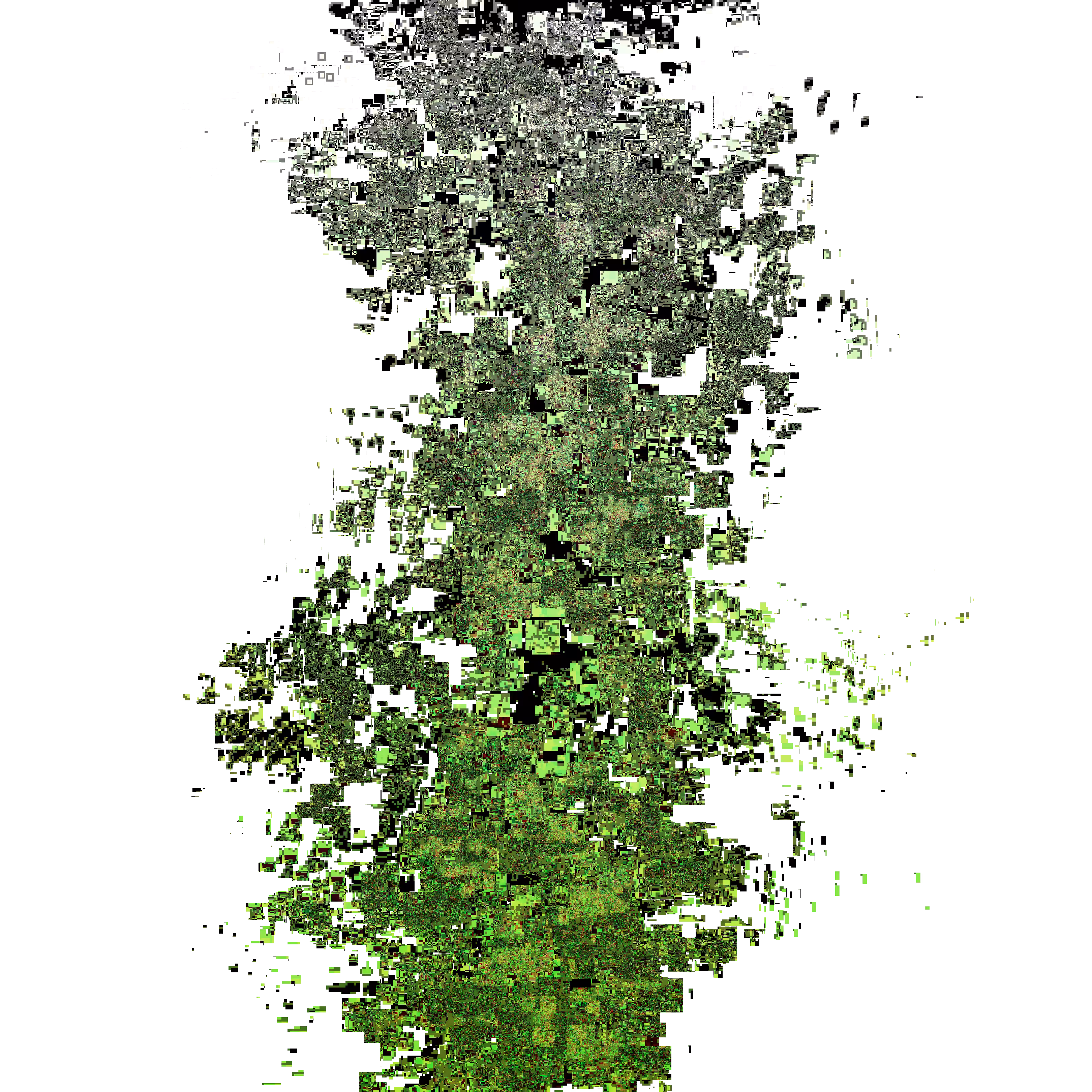 Entropy-Locked Recursive Glitch Textures #9