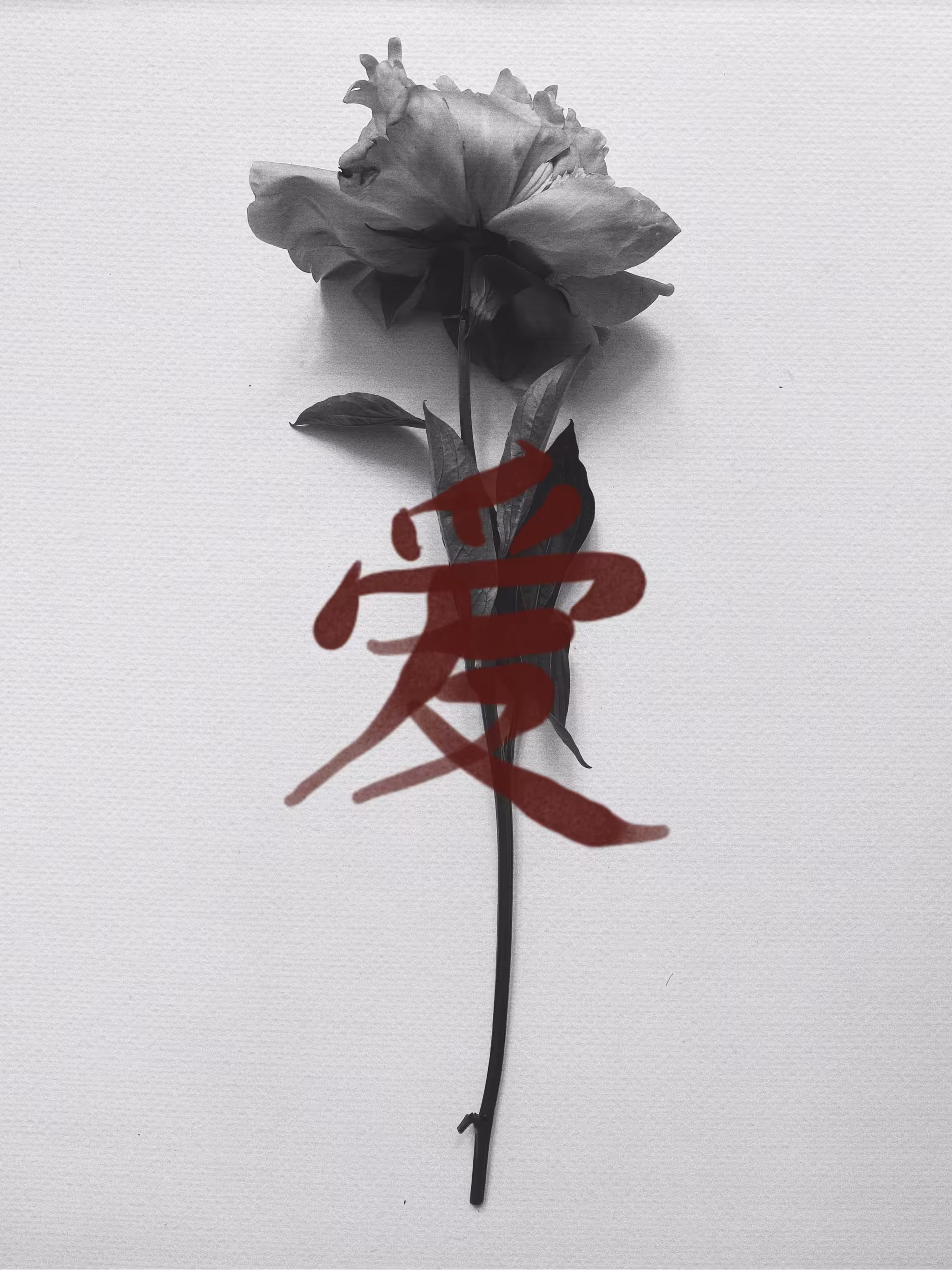 Flower VI