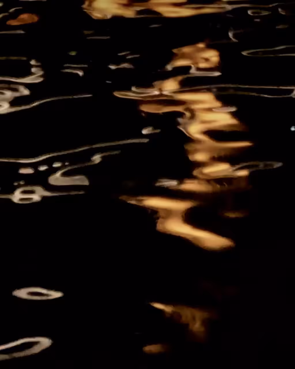 black waves