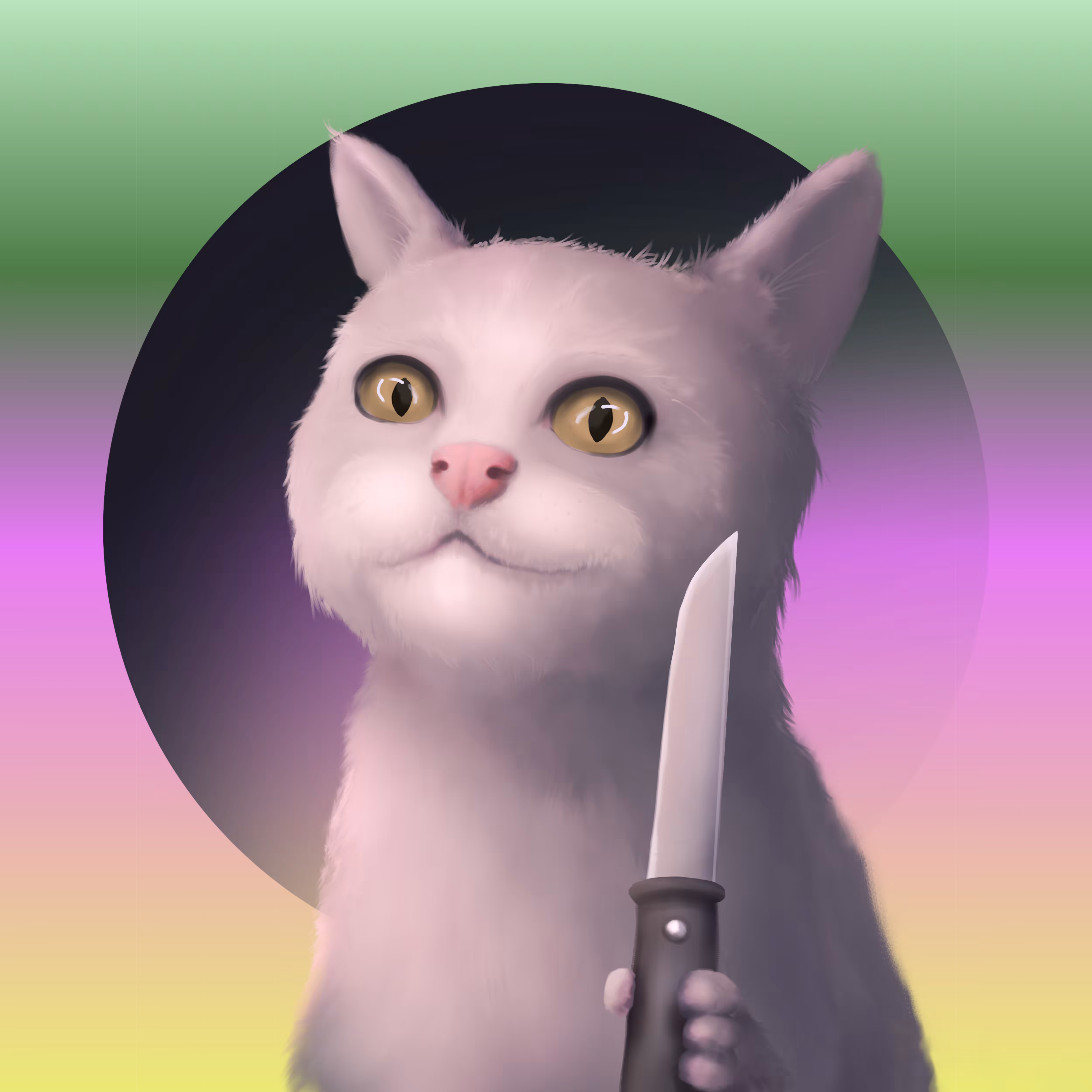 Crazy cat