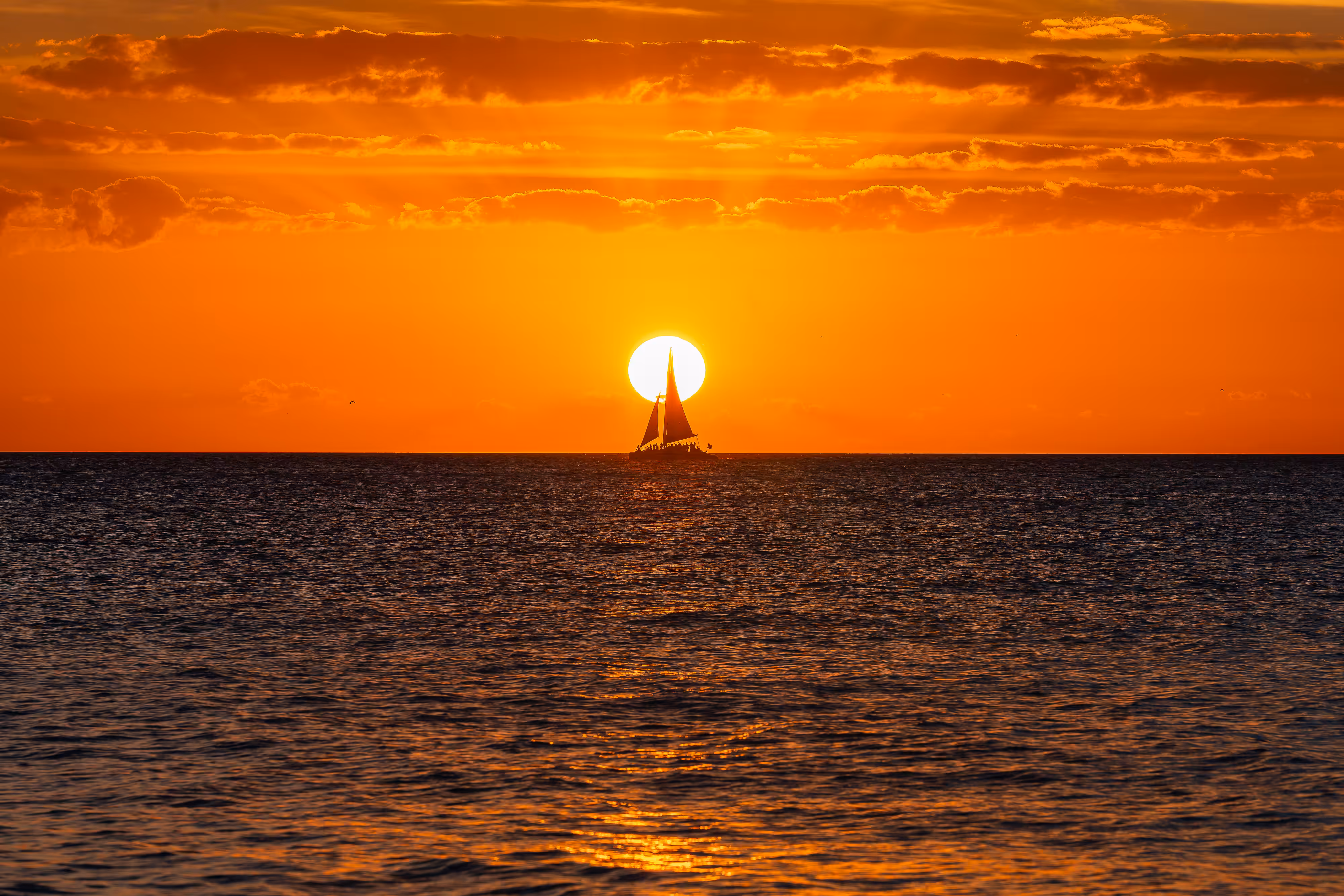 Sun Sails Away ☀️