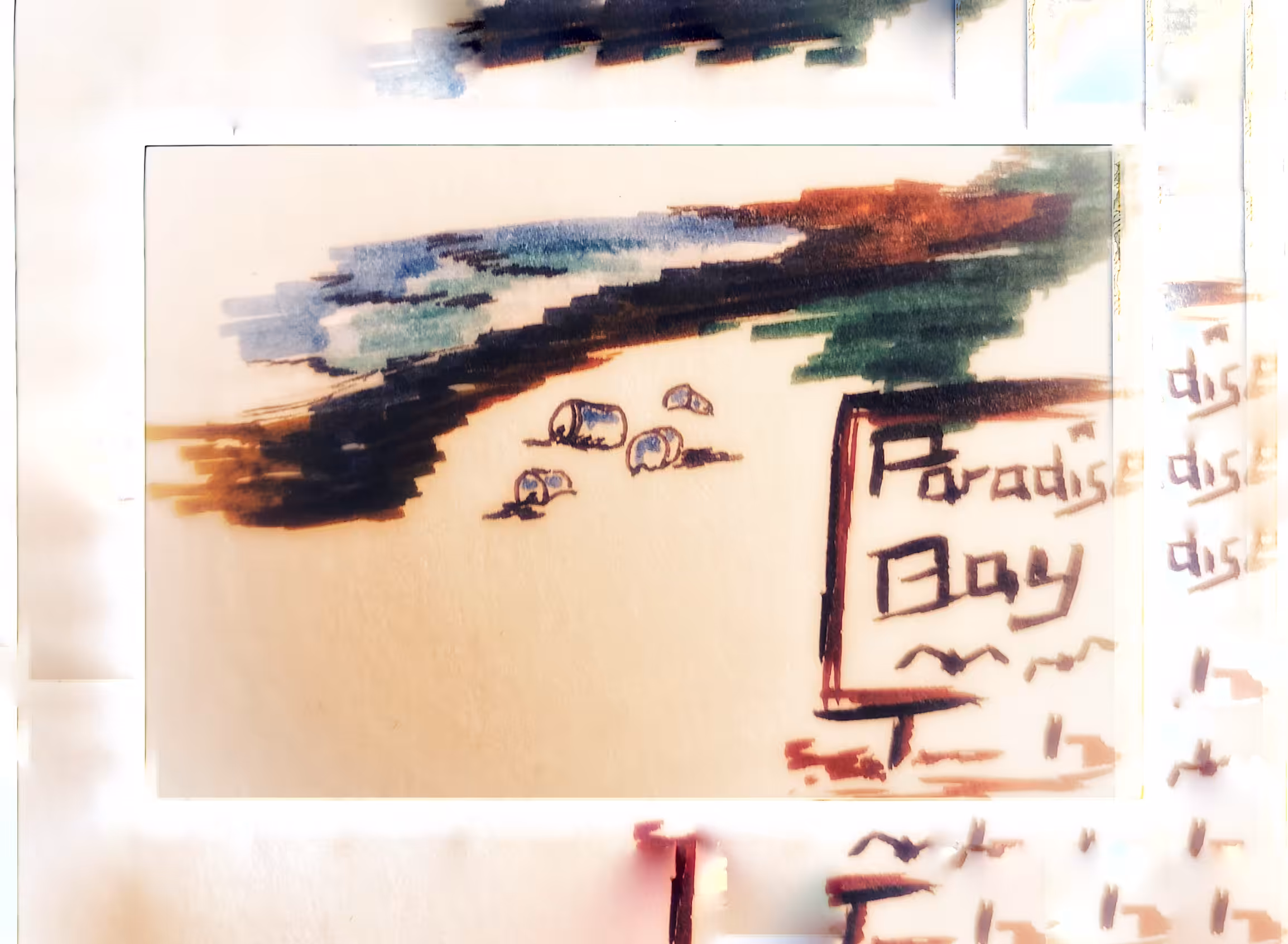 NFD life and other failures #2 - Paradise Bay