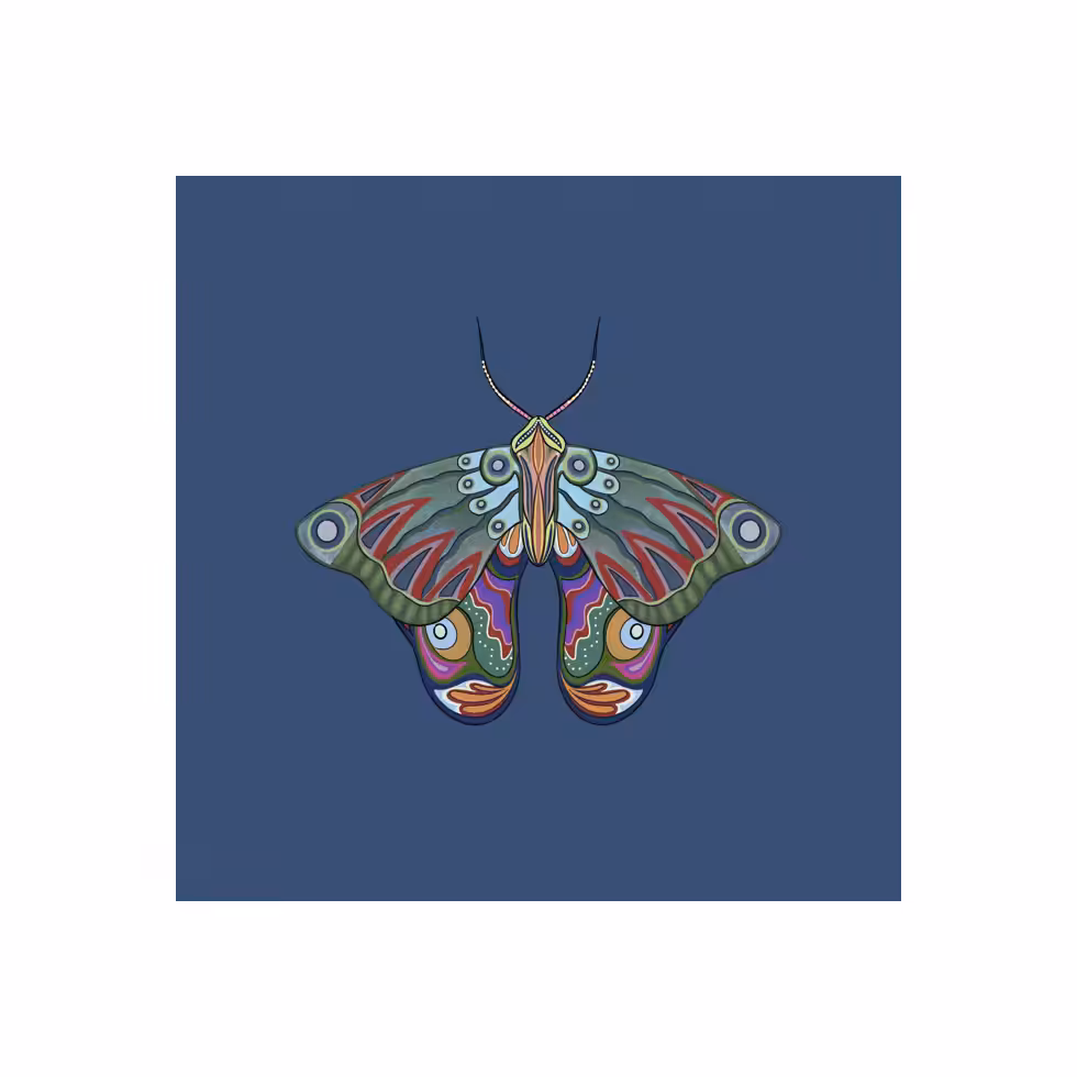 The Moth Experiment  #3