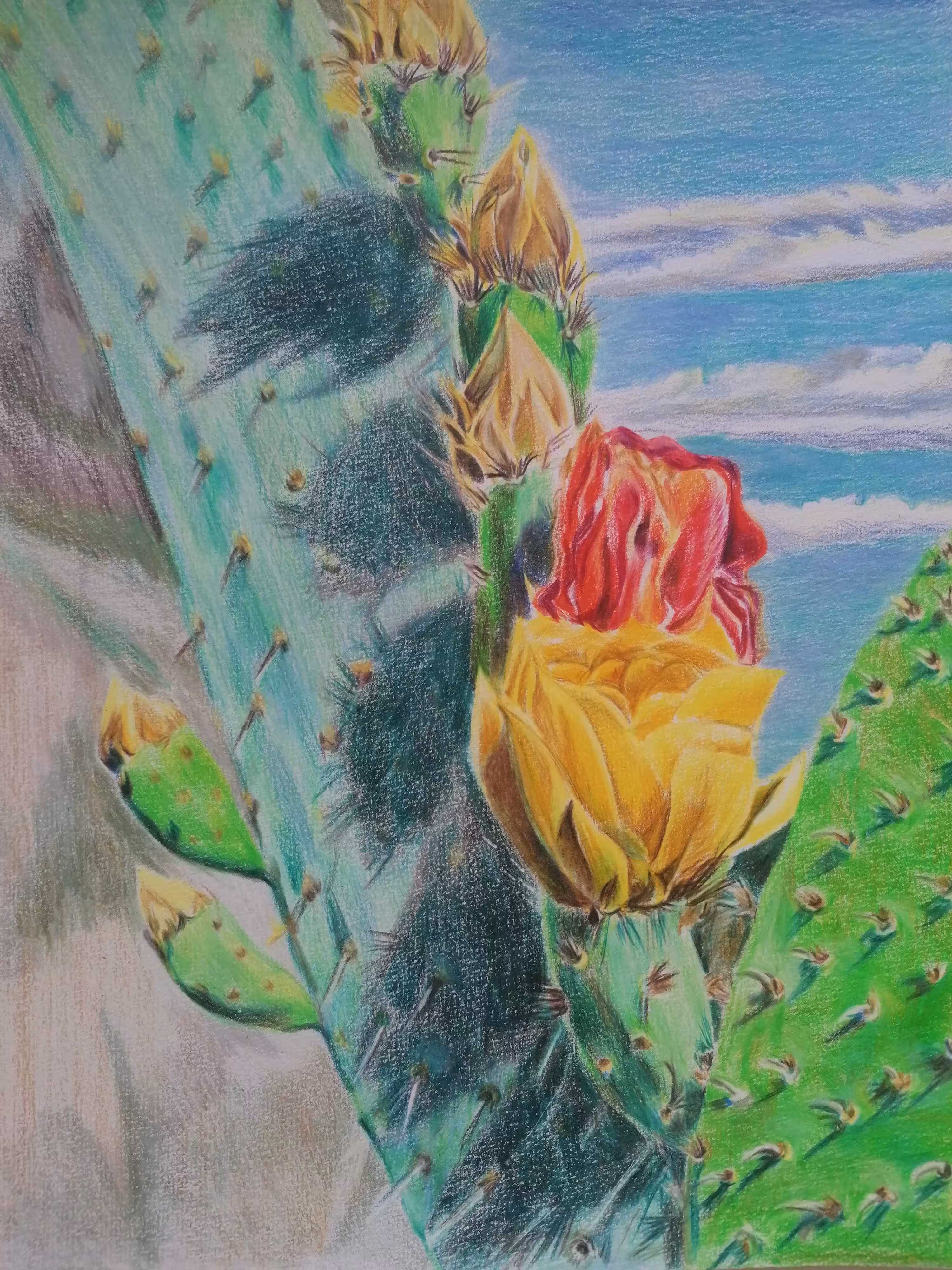 Jewel of the desert 