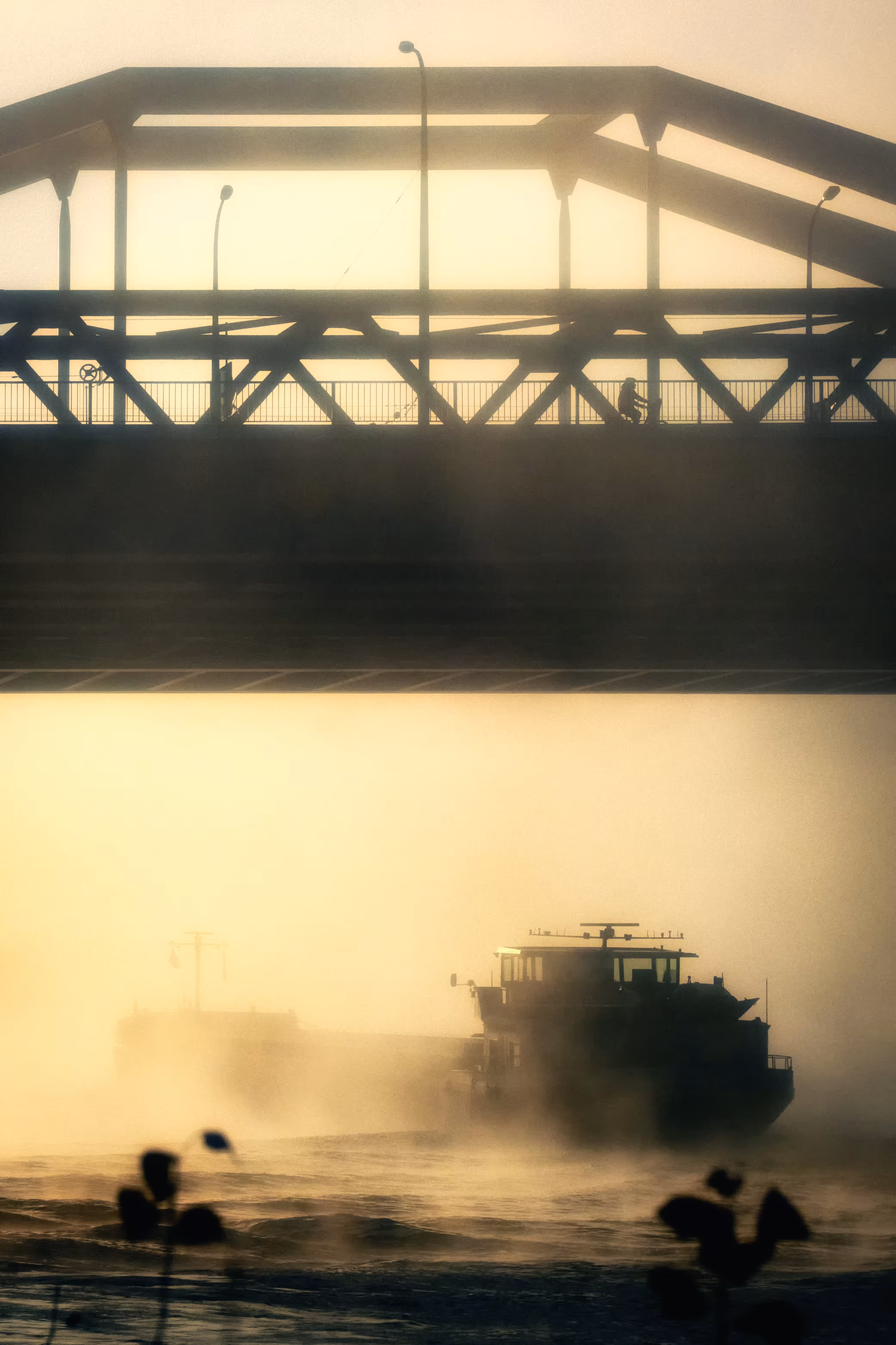 into the unknown