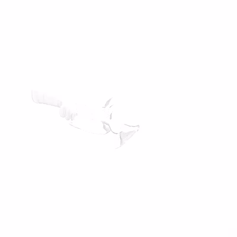 traces #63