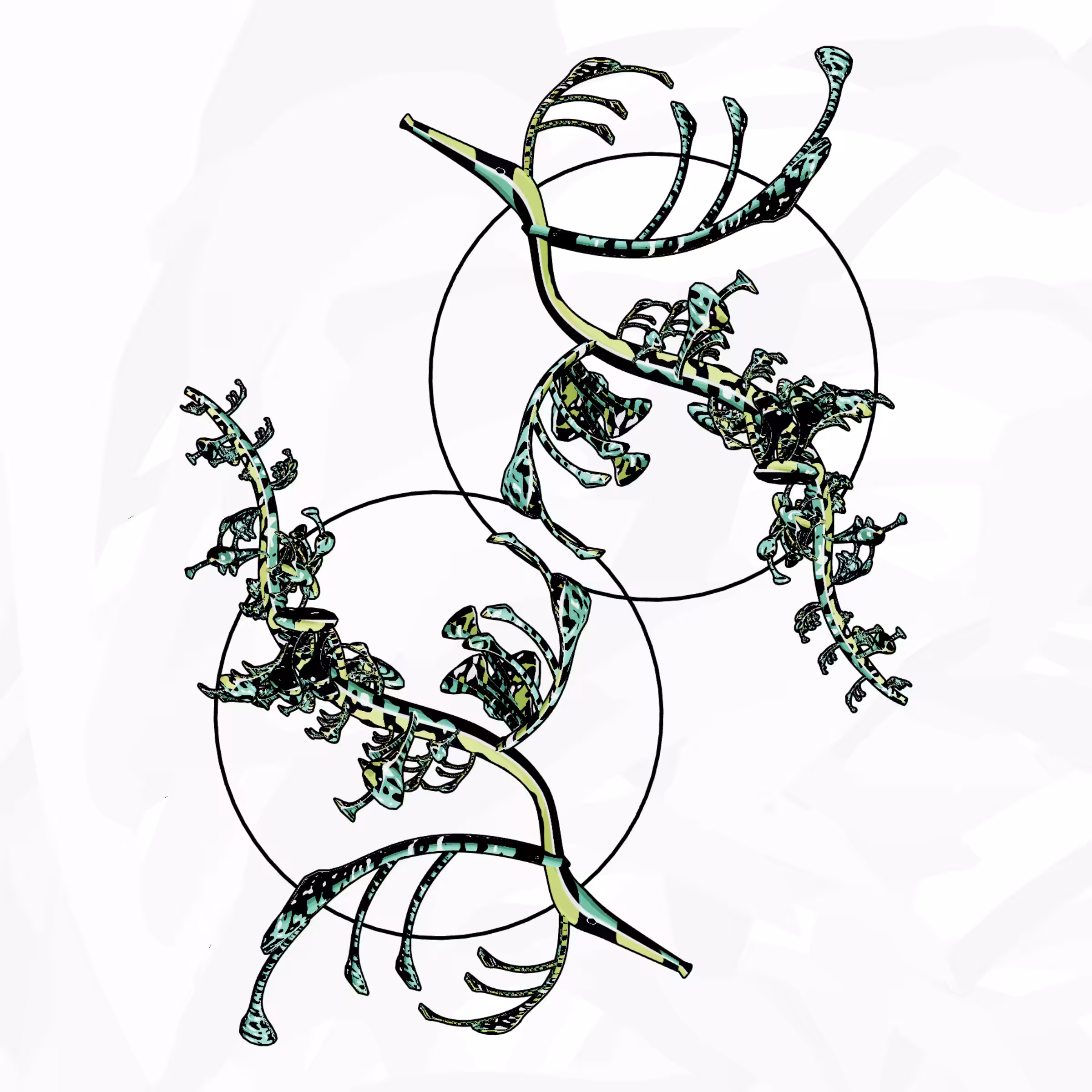 Seadragons #919