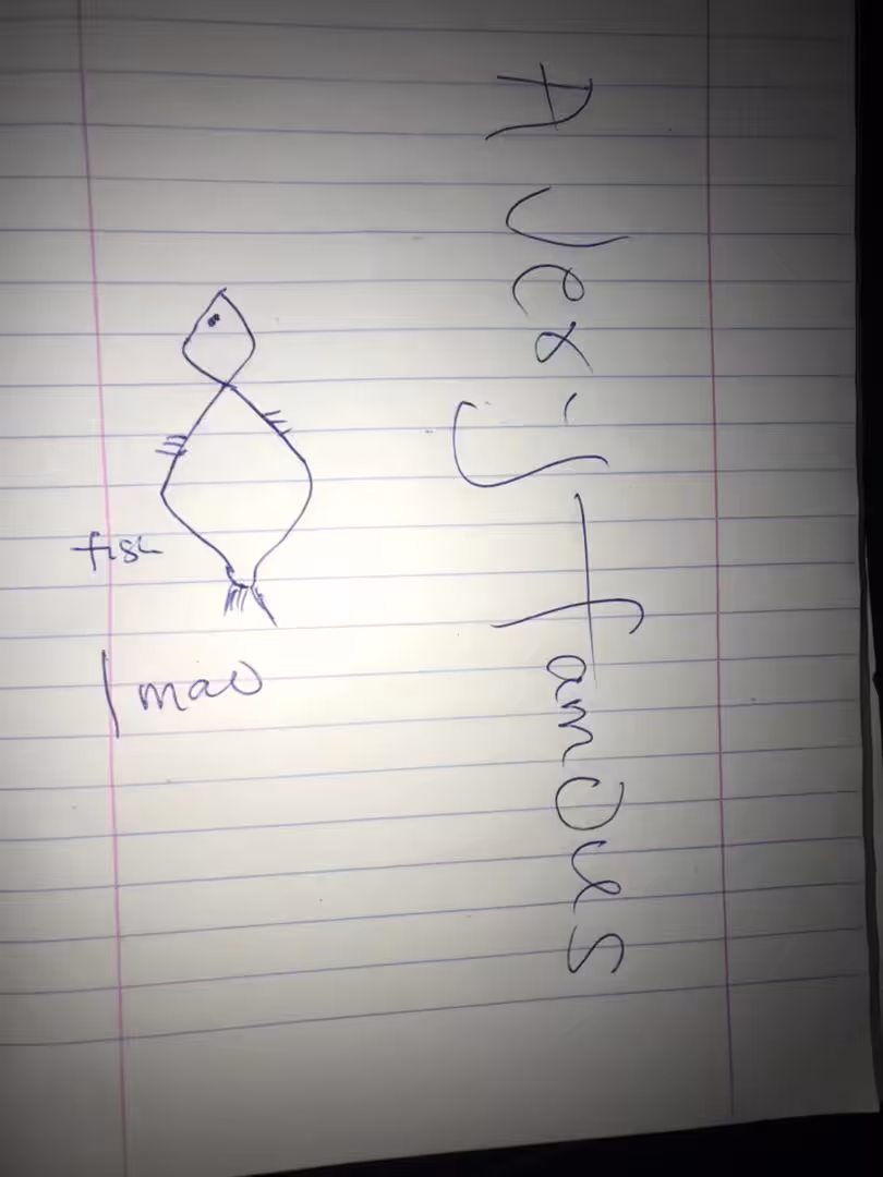 Meat Verification 10: Avery Famous Fish