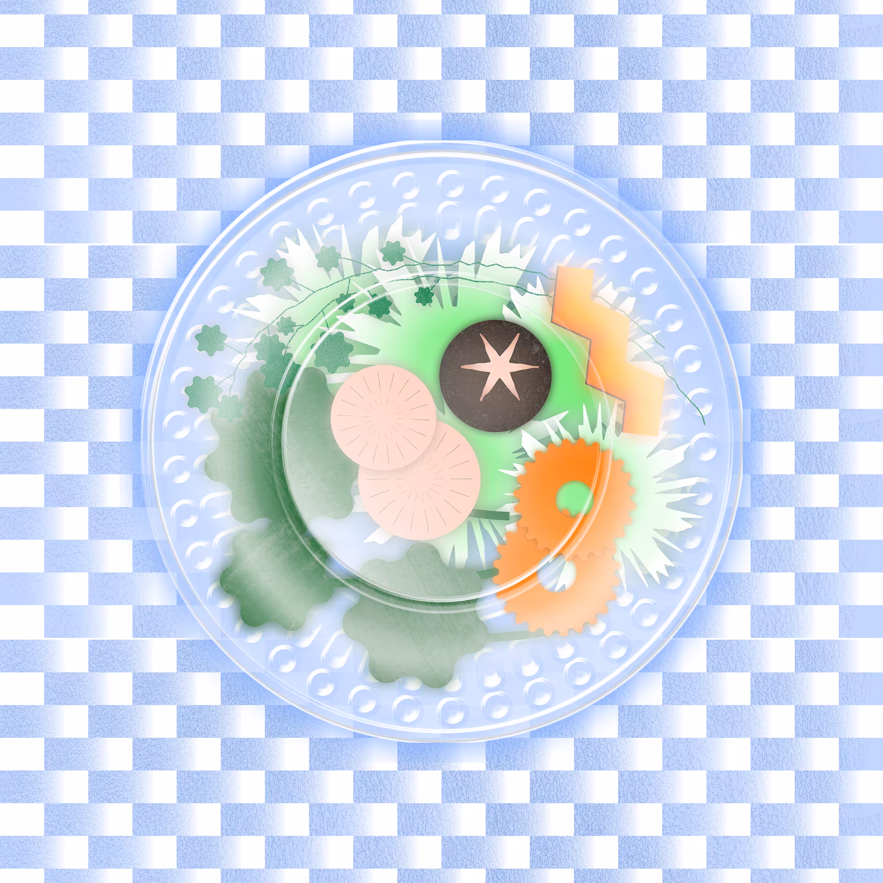 Refill :: Shabu vegetable set
