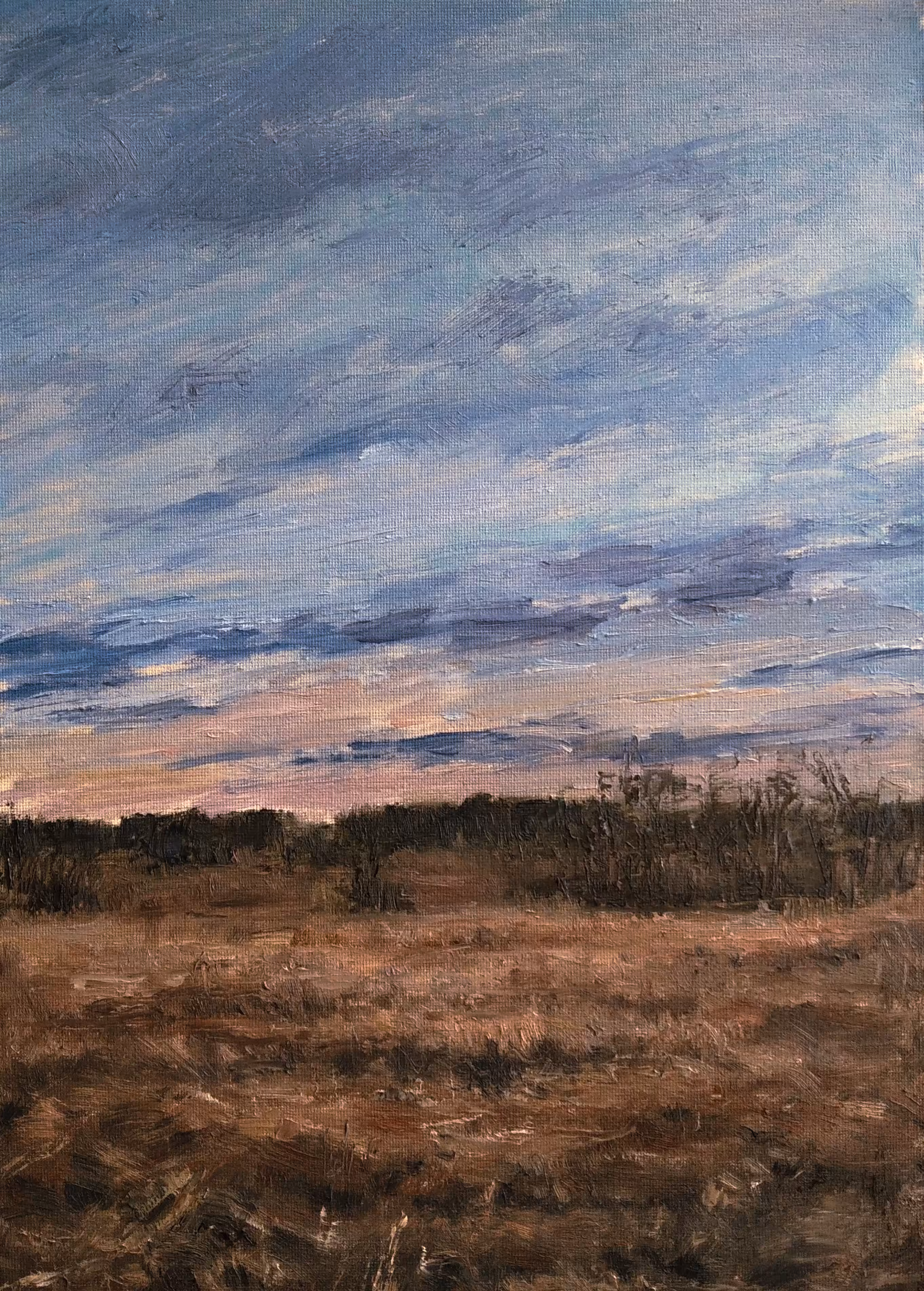 Warm evening 