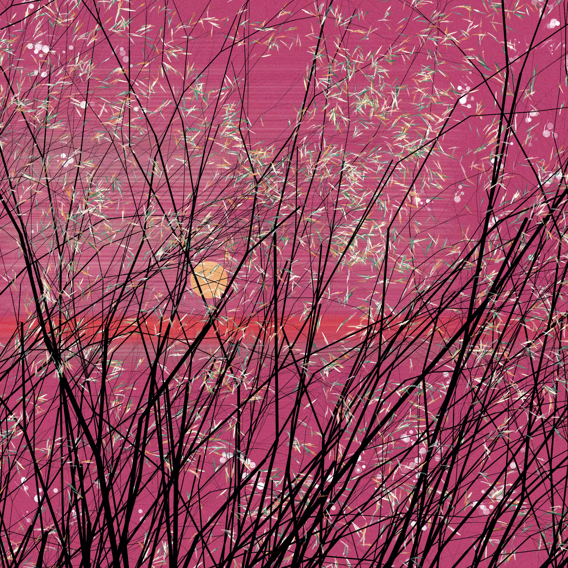 conversation with the wind #964