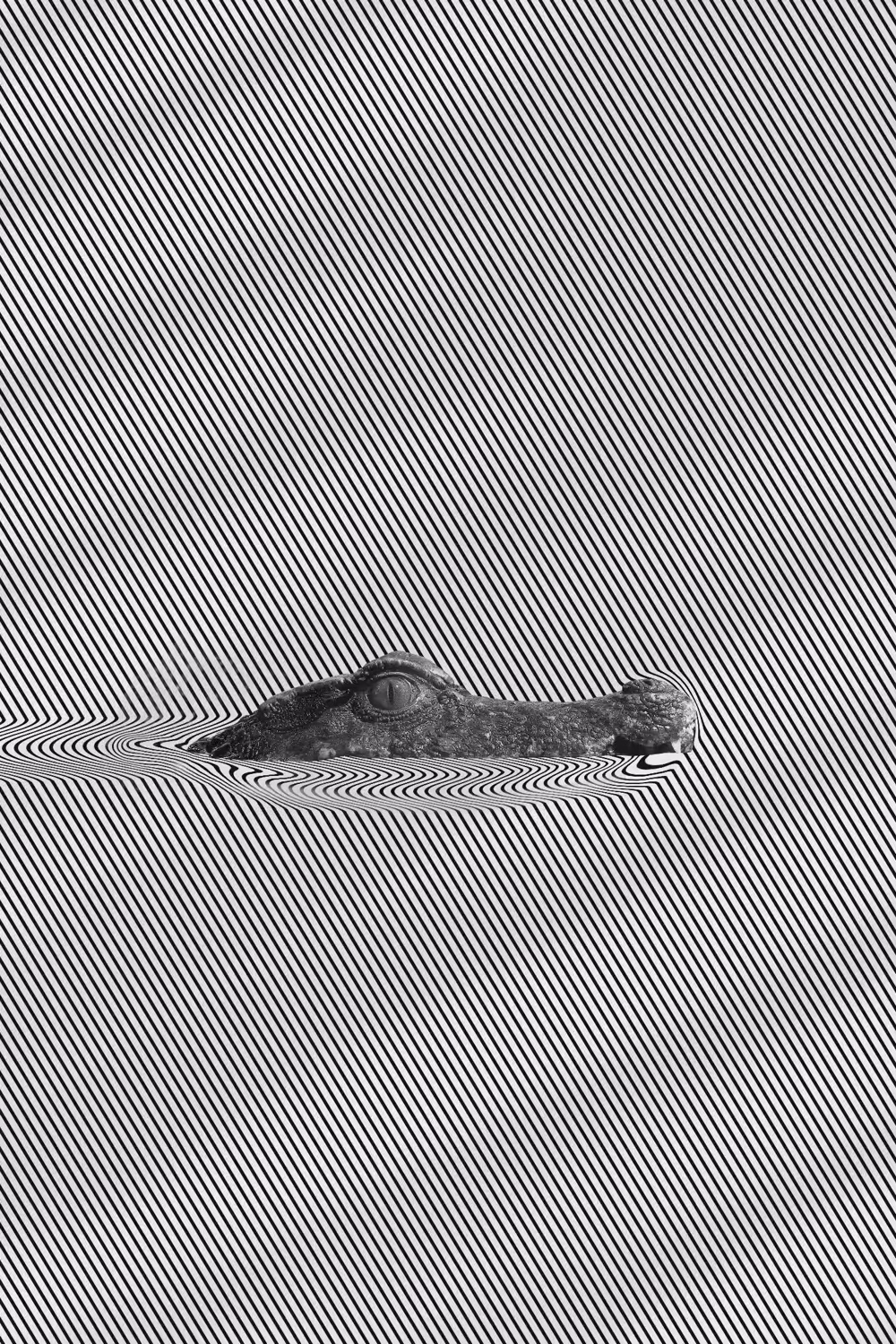 LURK (WAVES P:5)