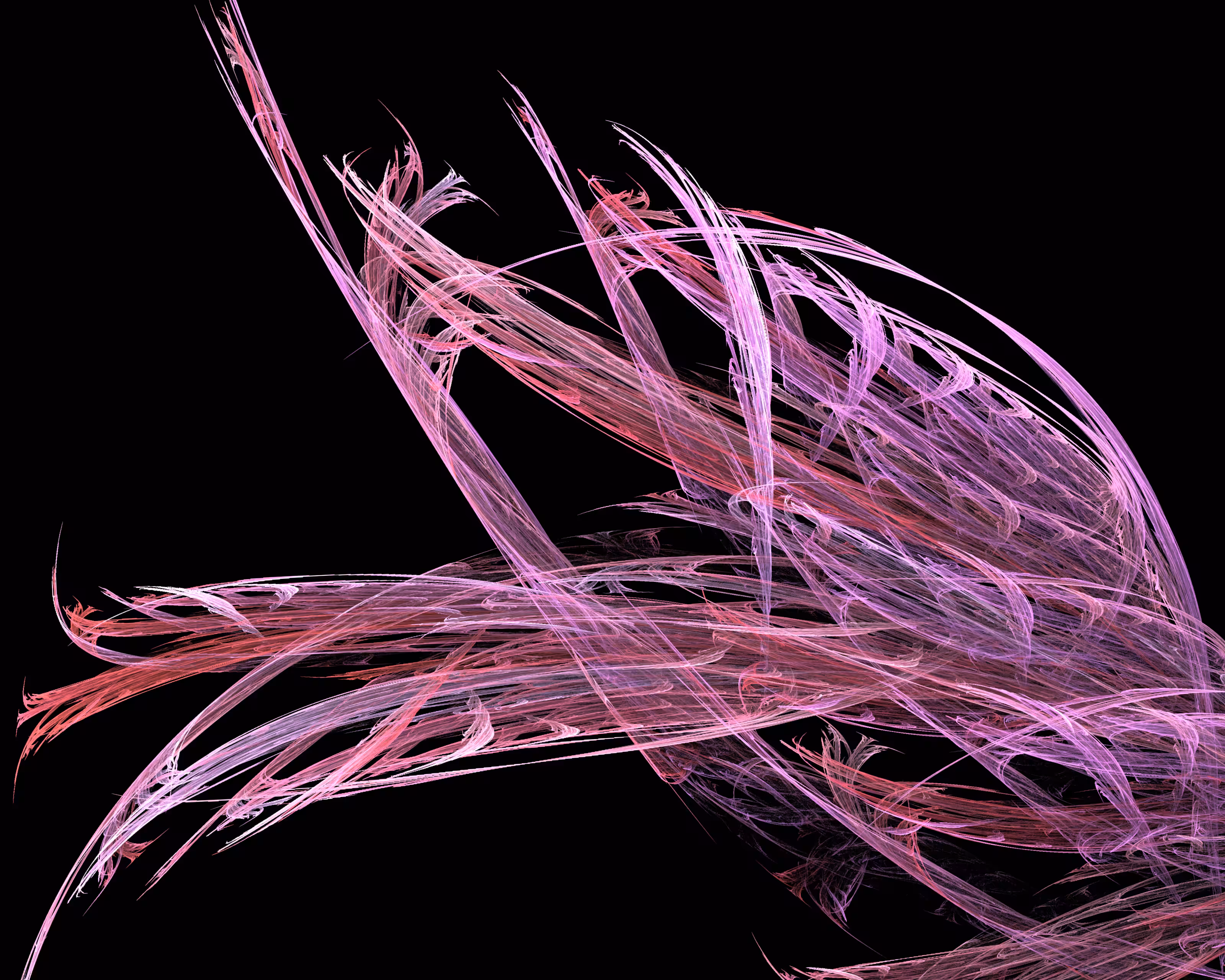 Chaos Flamingo