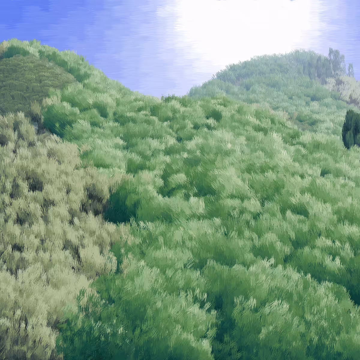Provence #249