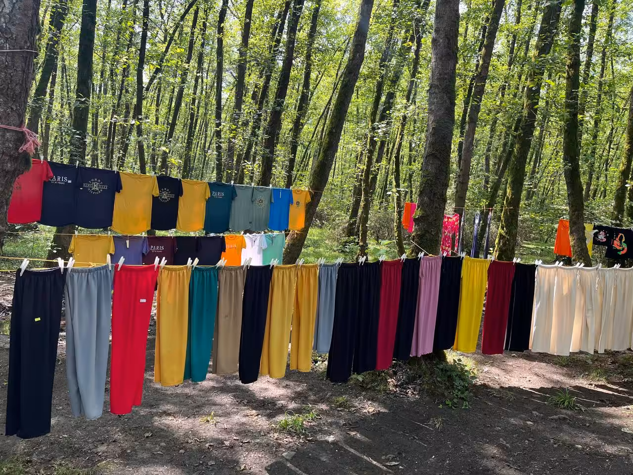 The moments: Peddling in the forest 2