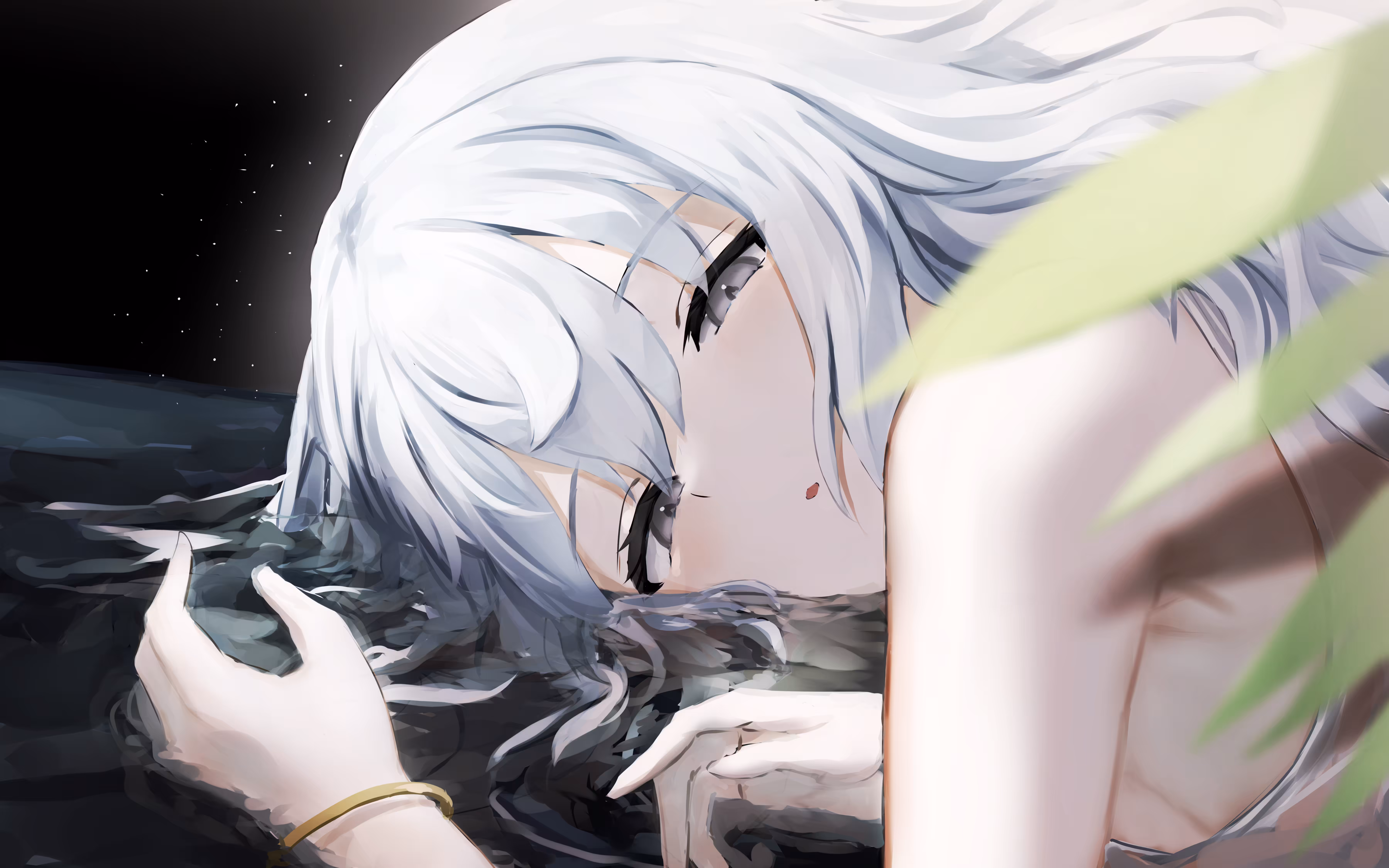 The Transparent Girl