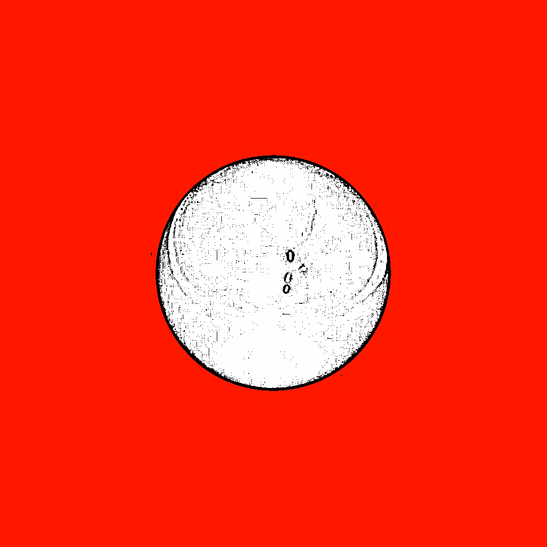 ball