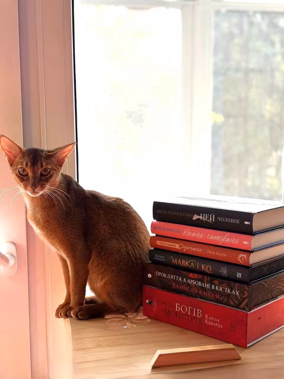 I read books!
