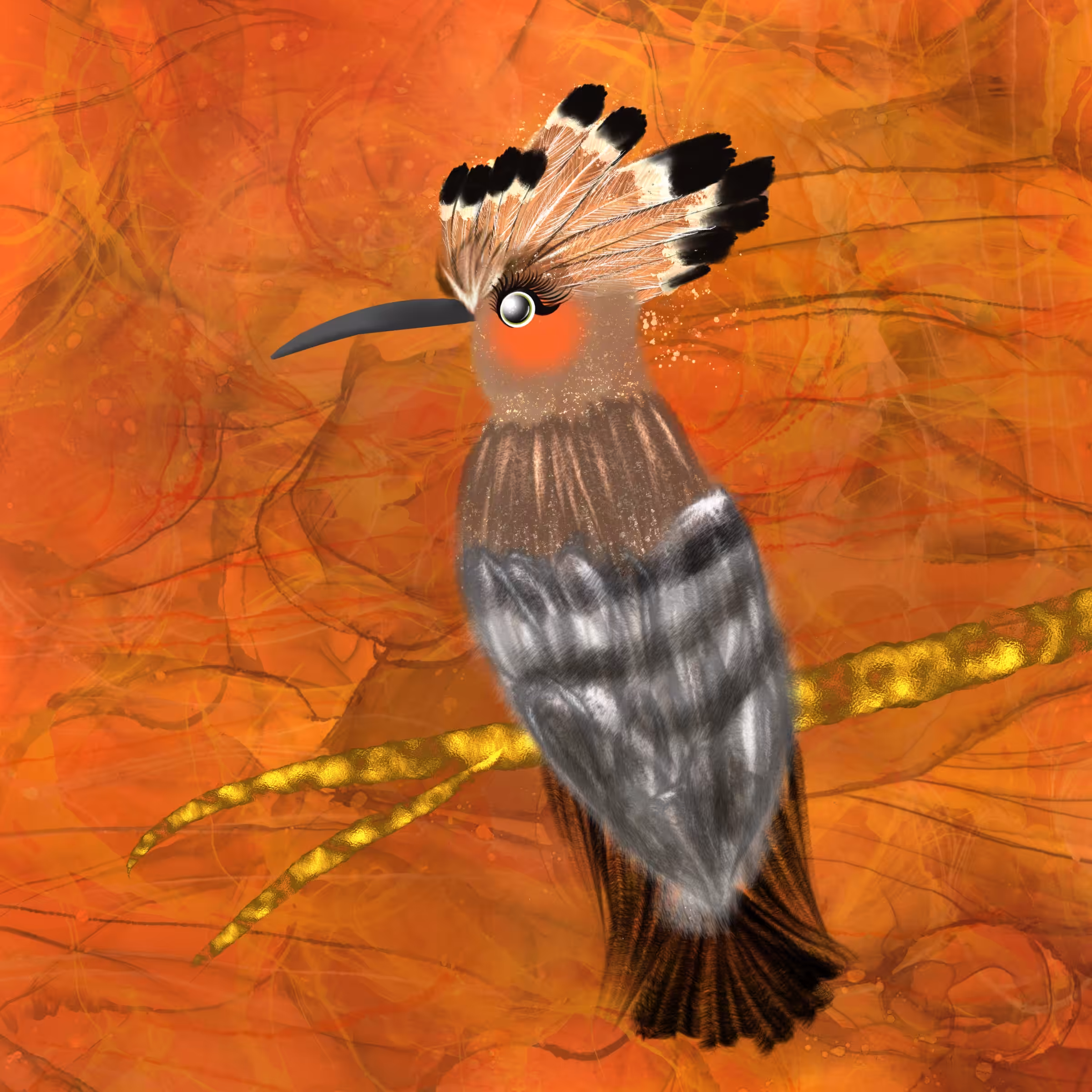 Hoopoe Bird