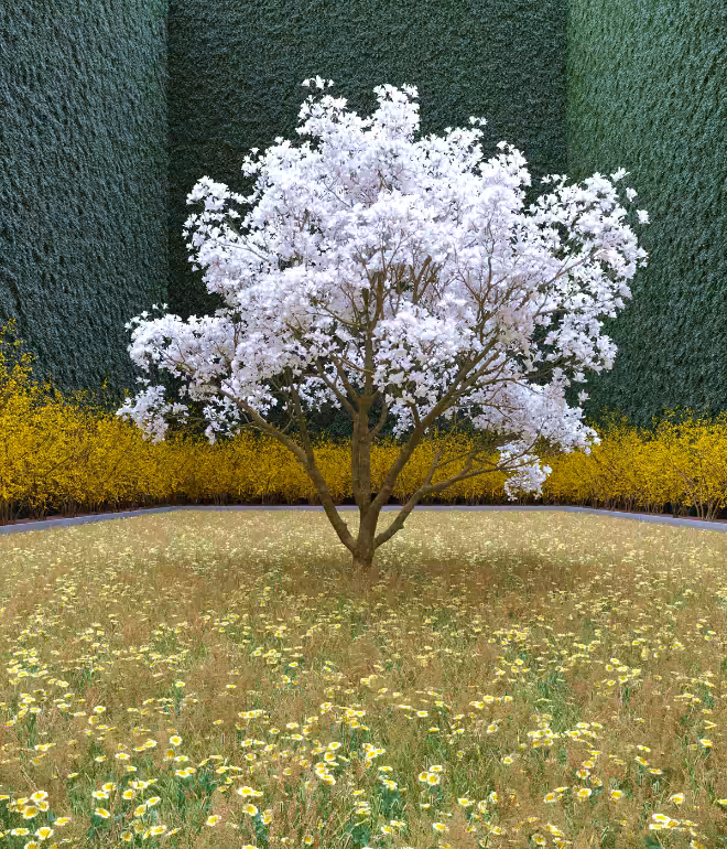 Garden of Imagination #2