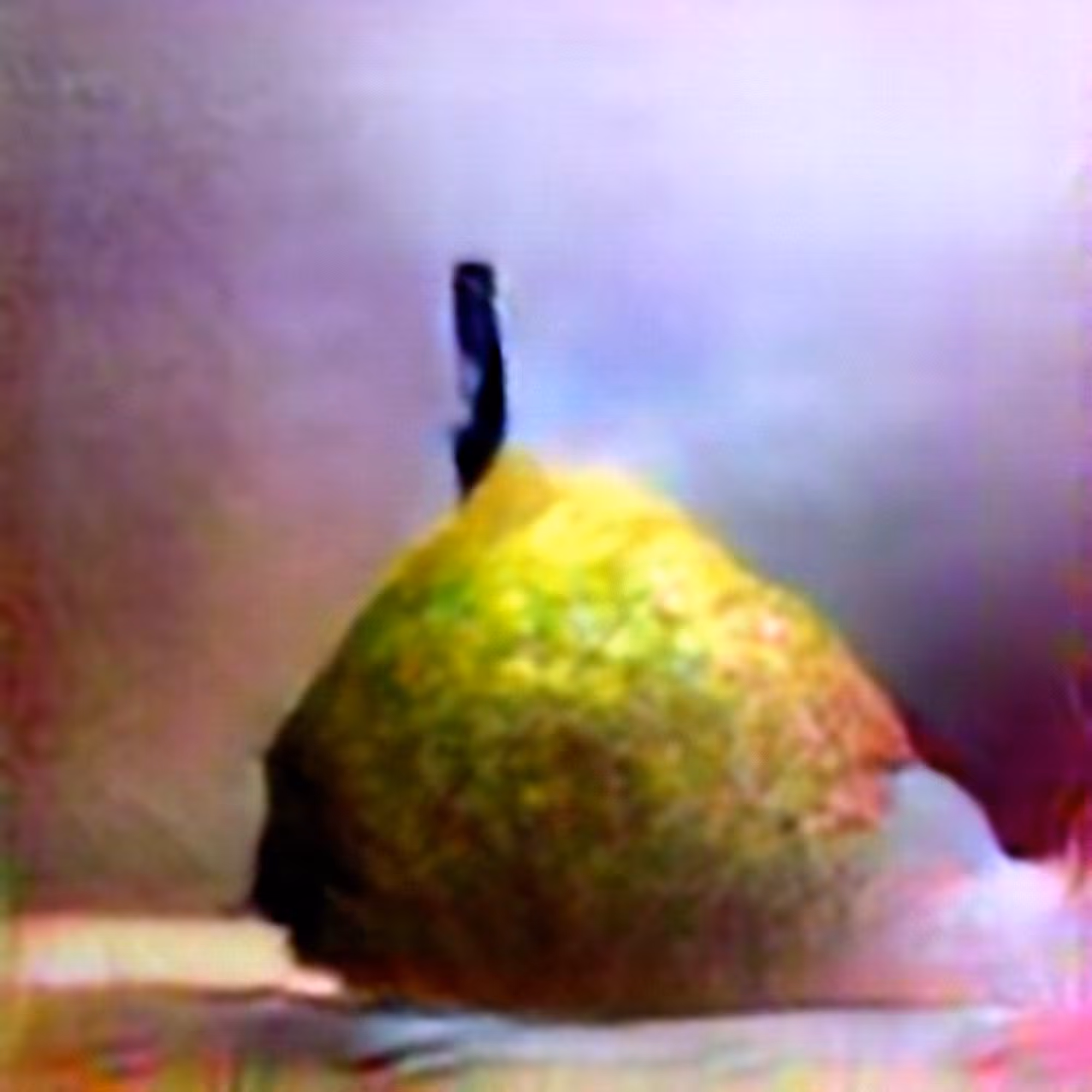 Pear #4 (Corpus: Still Life Objects of the Renaissance)