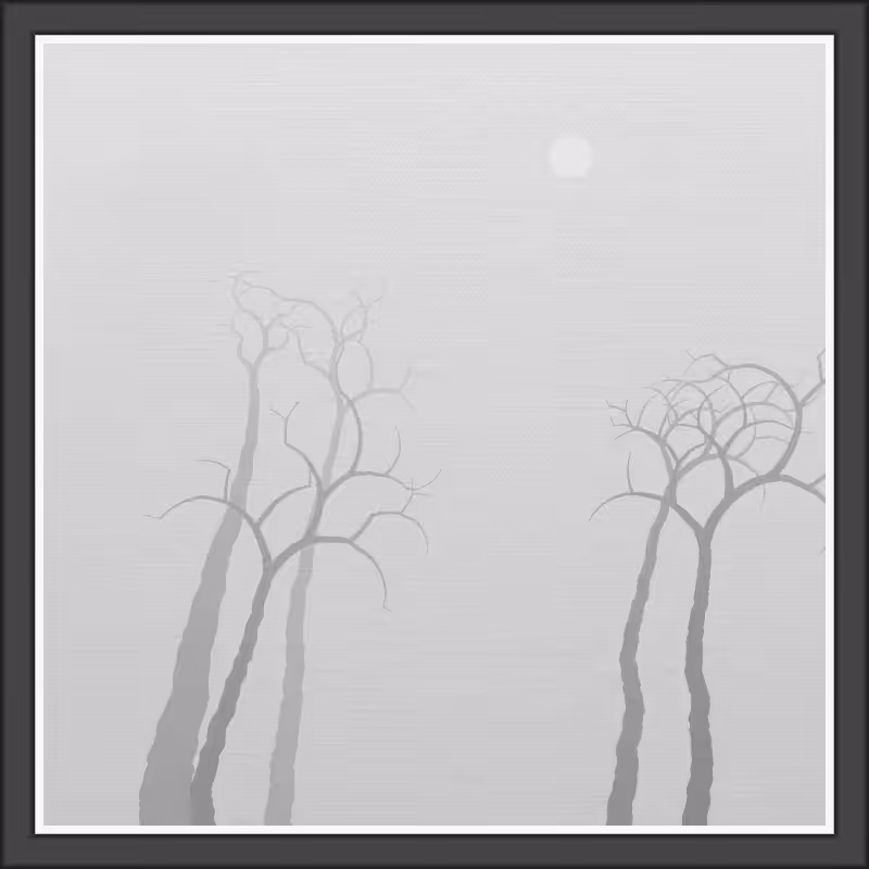 The Foggy Trees #58