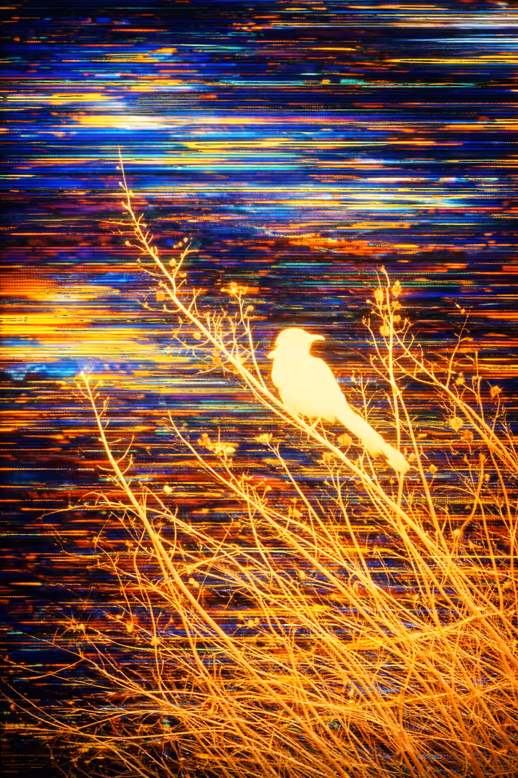 "Glitch in Flight