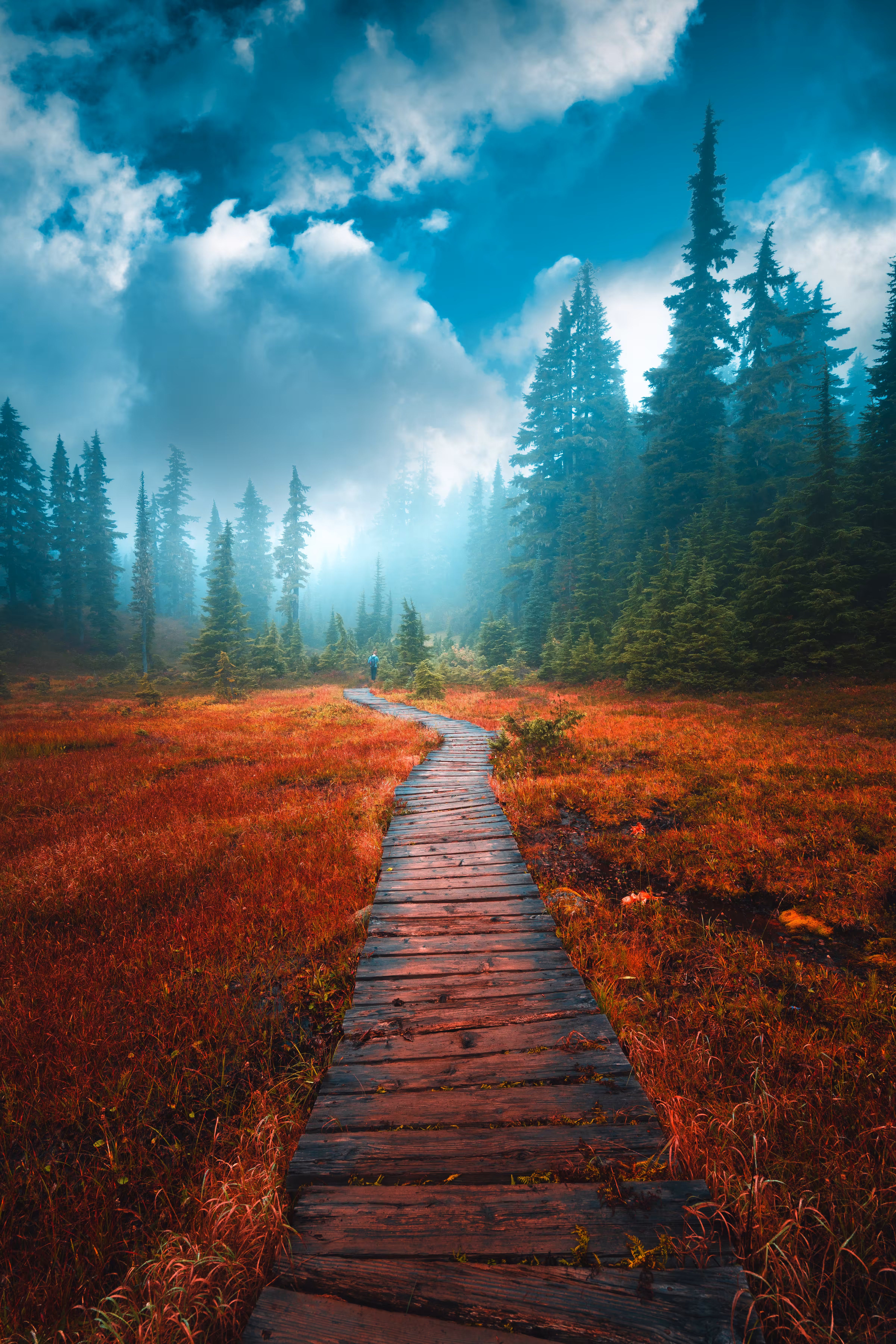 The Alpine Atmosphere