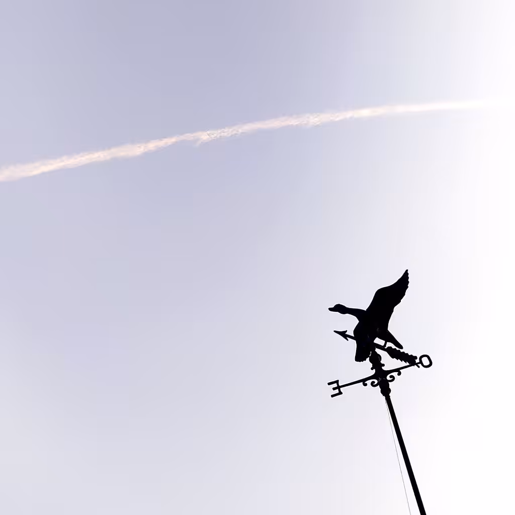 dirección en contra de la dirección del viento