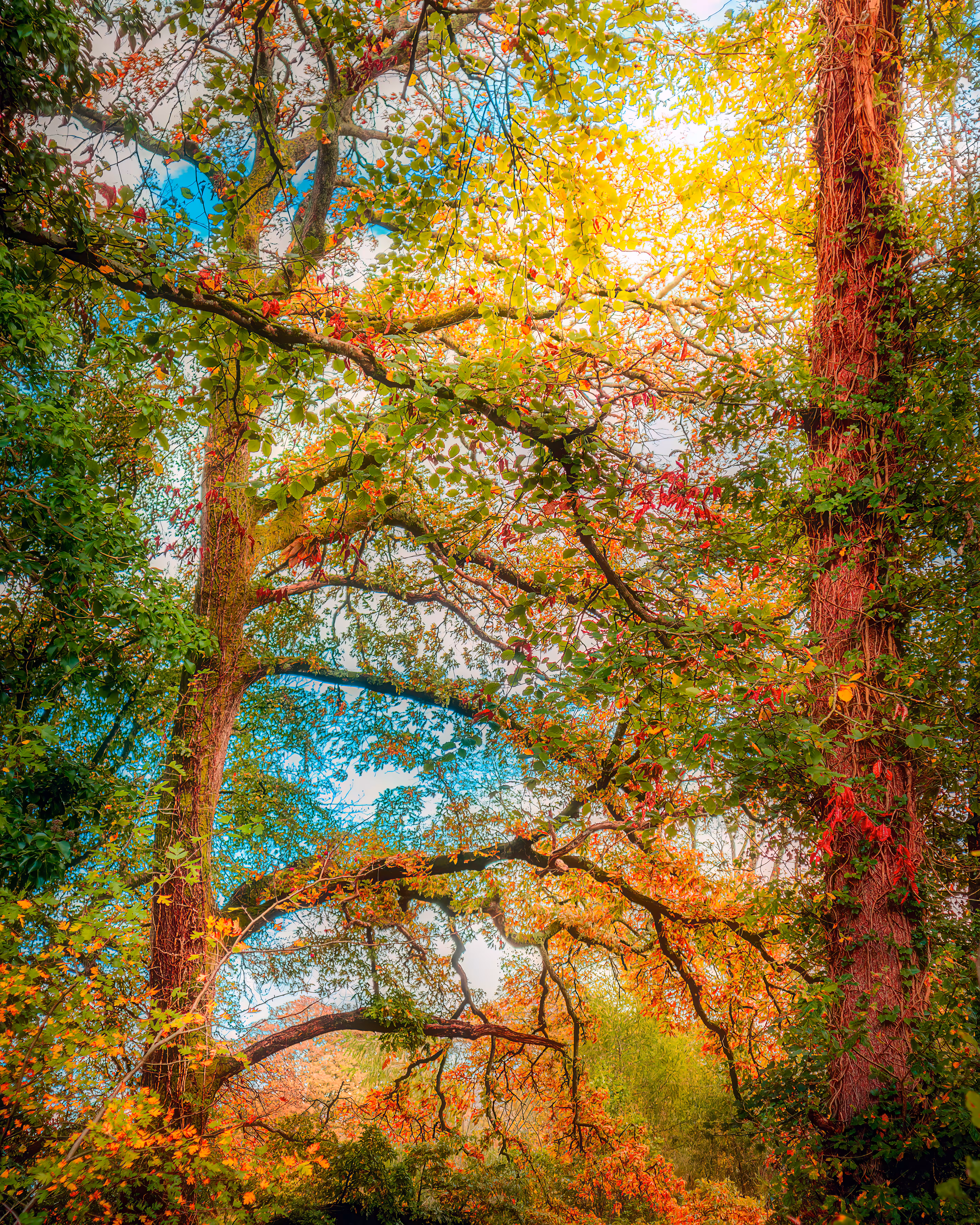 Playground of the Faeries