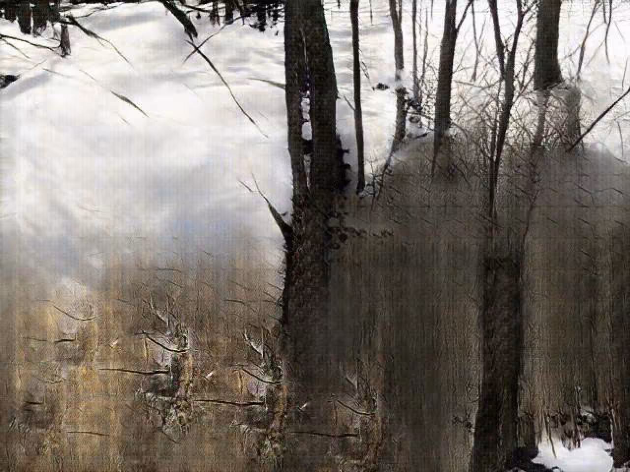 Learning Nature (b59b,8282,15)
