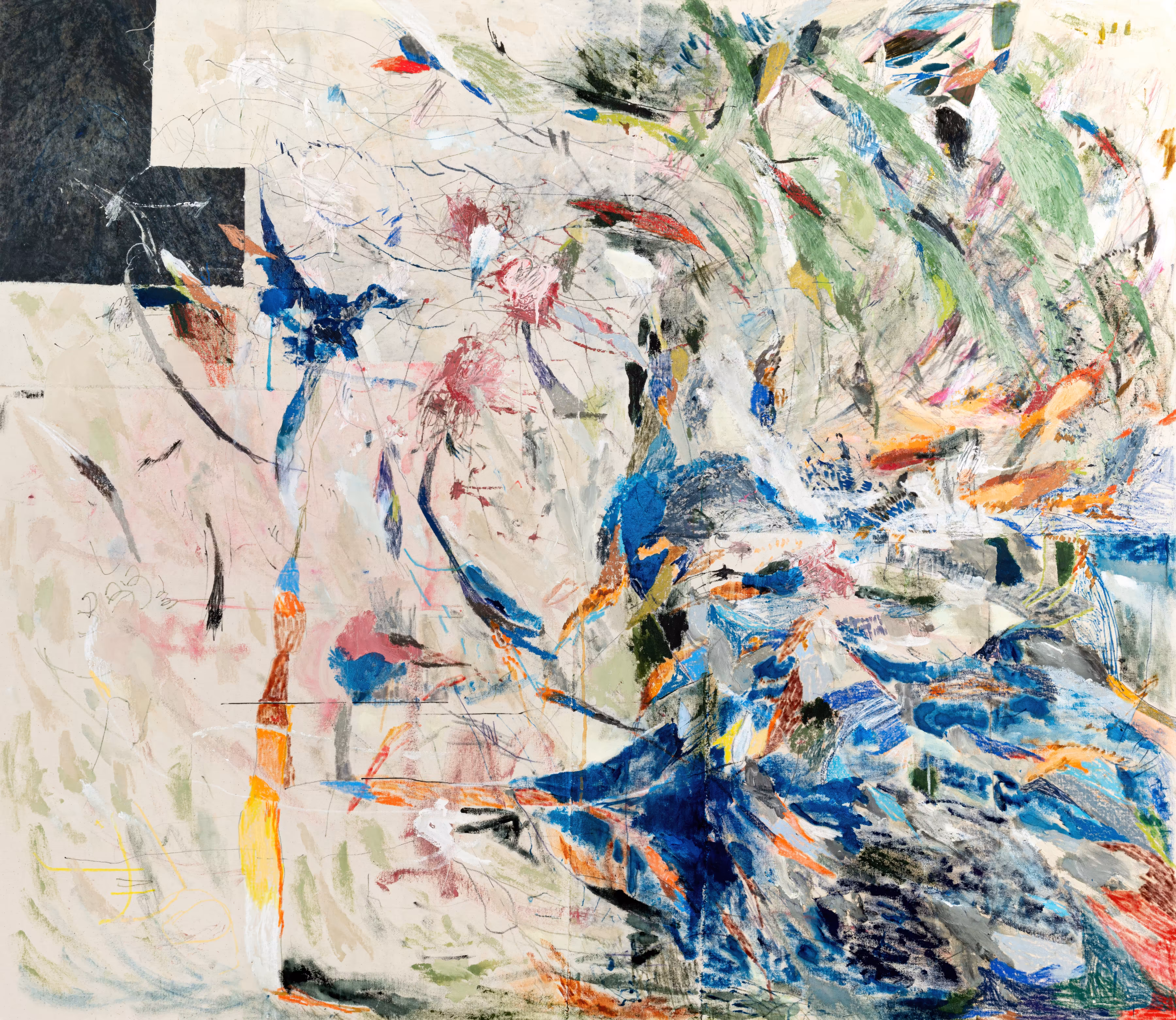 untitled (birdwatching)