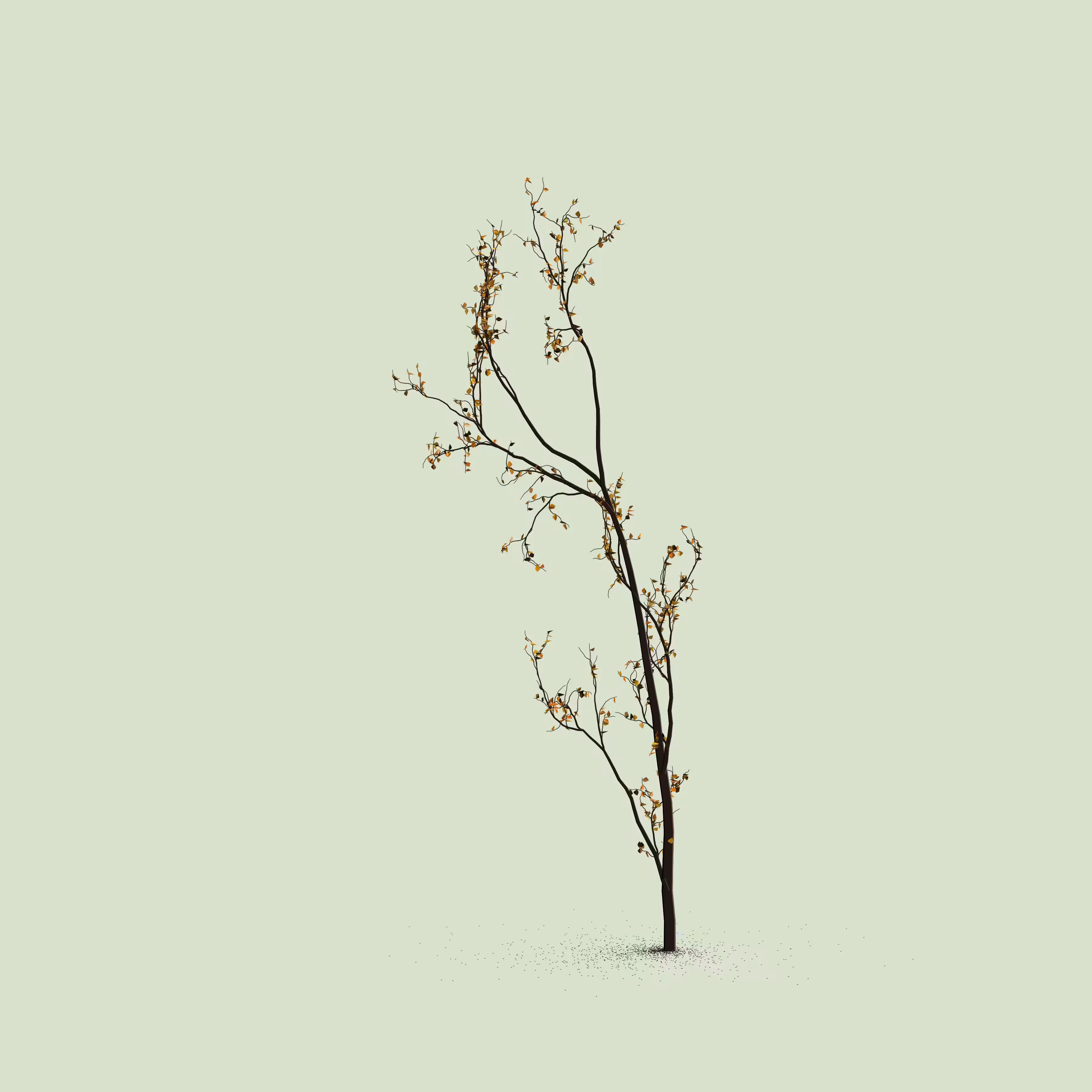 Little Trees #48