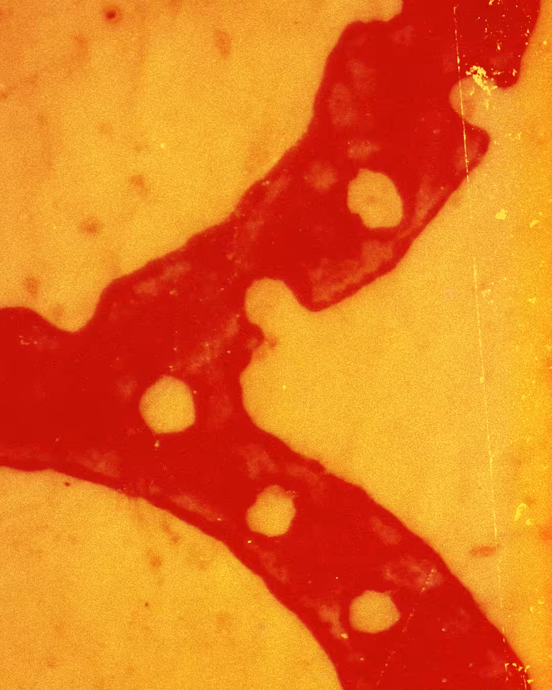 Asemic Study 04