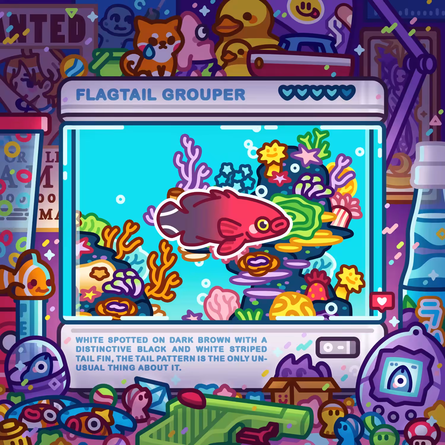 flagtail grouper