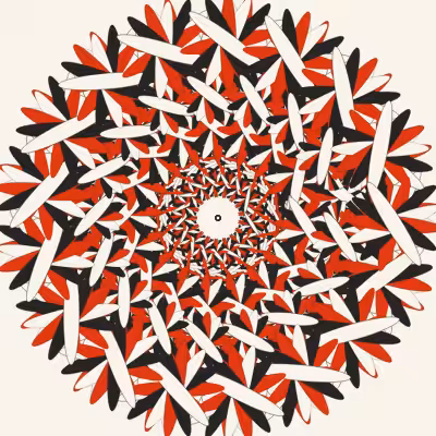 Dazzle #20