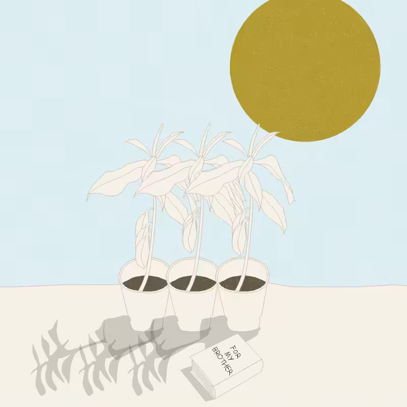 Still Life #12 #8