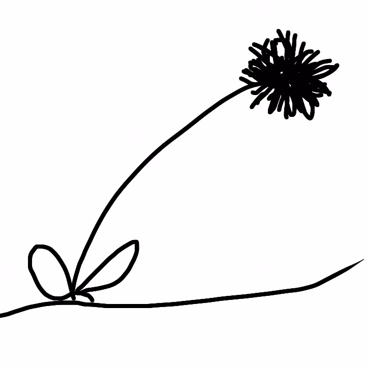 Dandelion