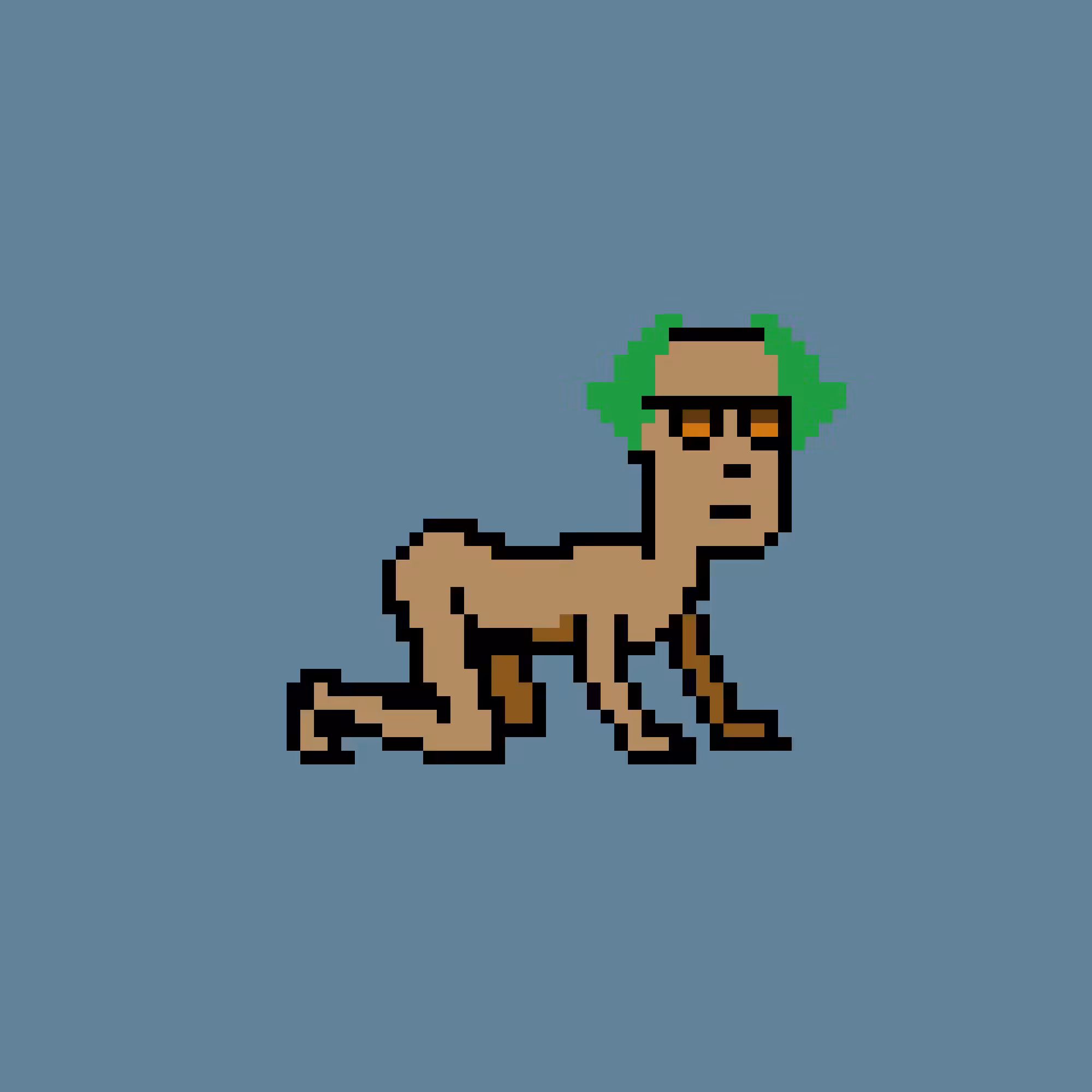 CrawlingPunks: CrawlingPunk #1725