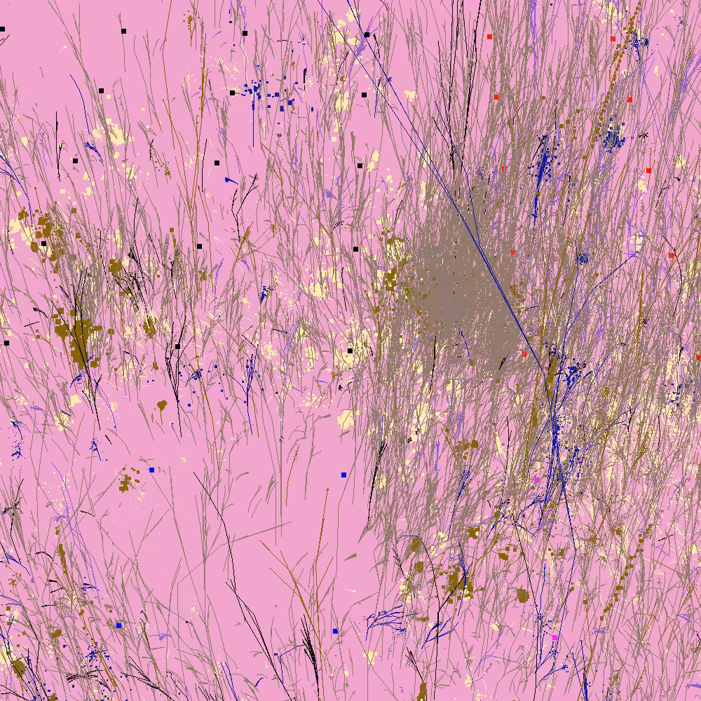 Infinite Garden: 30439 Flowers