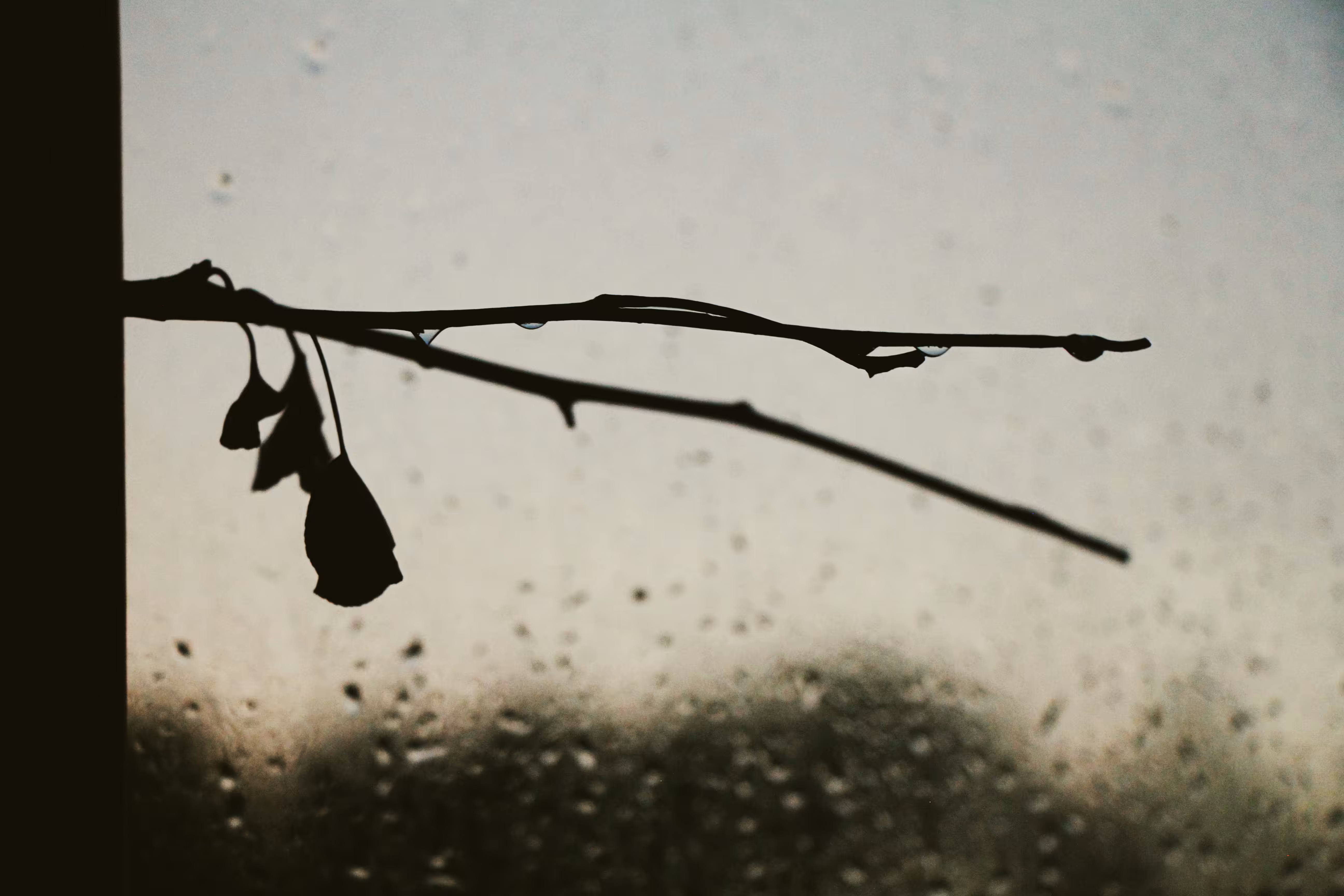 _flaws