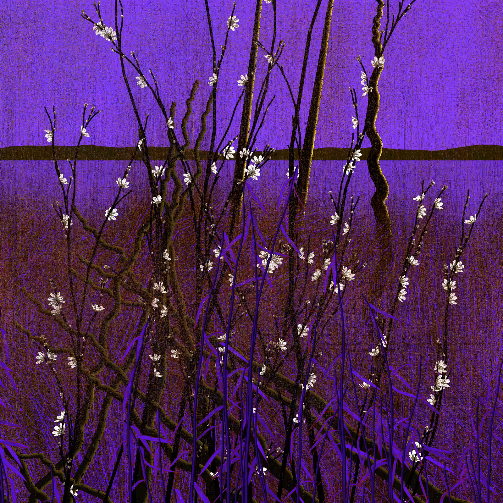 Dry twigs #19