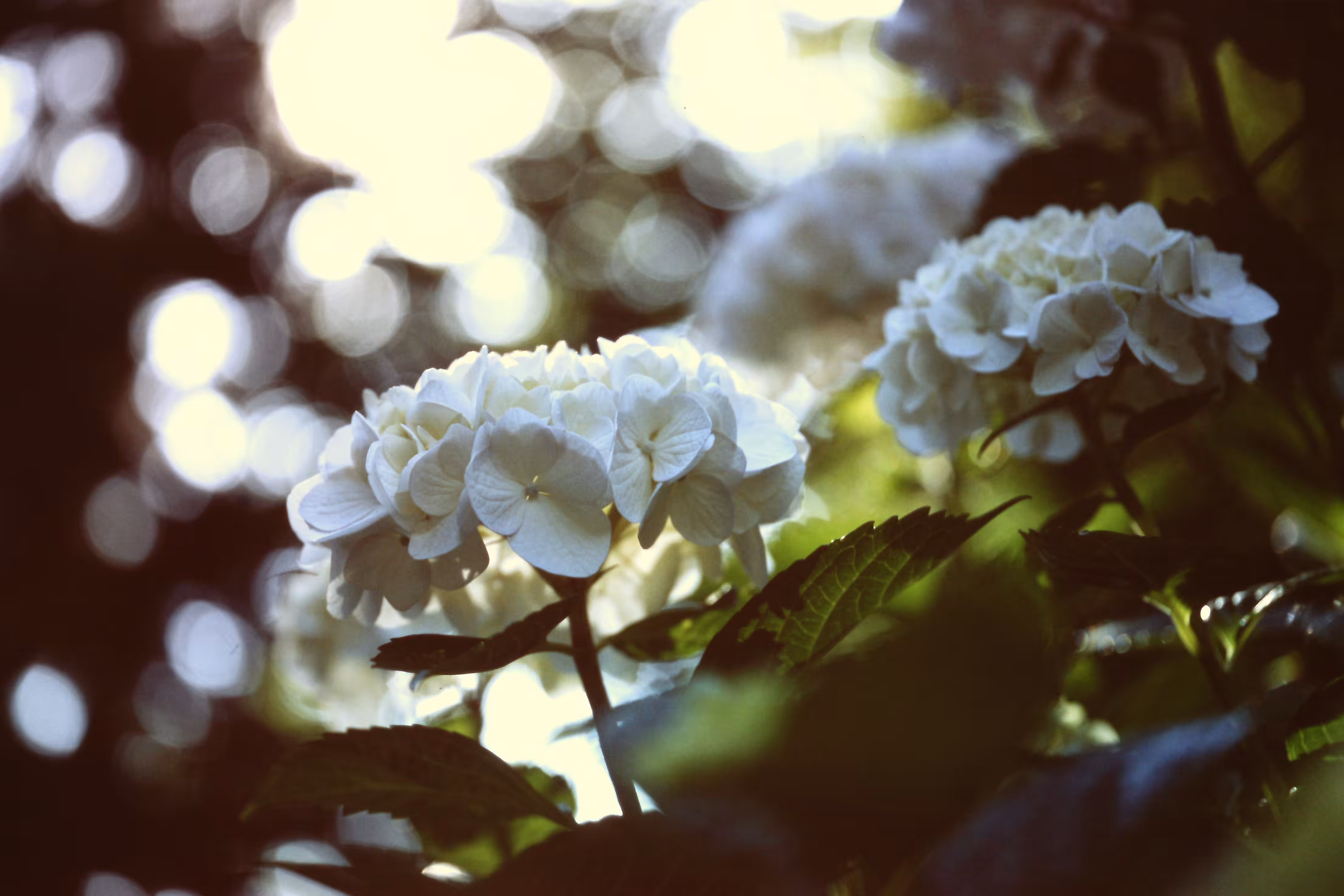 The World of Film - Beautiful World