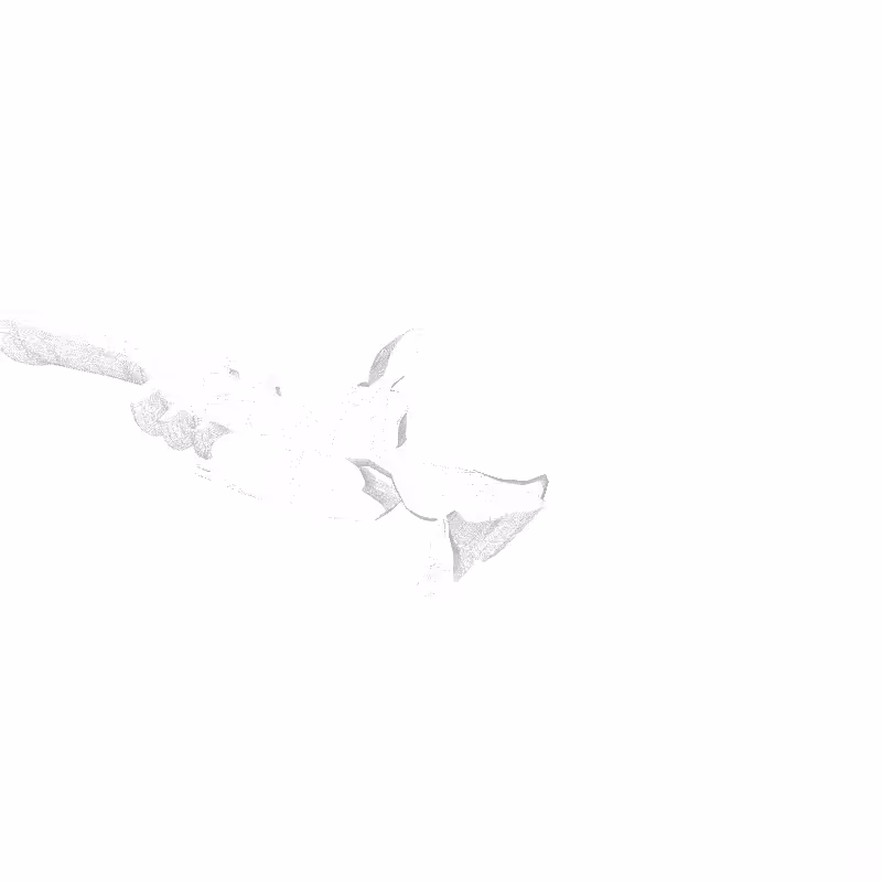 traces #36