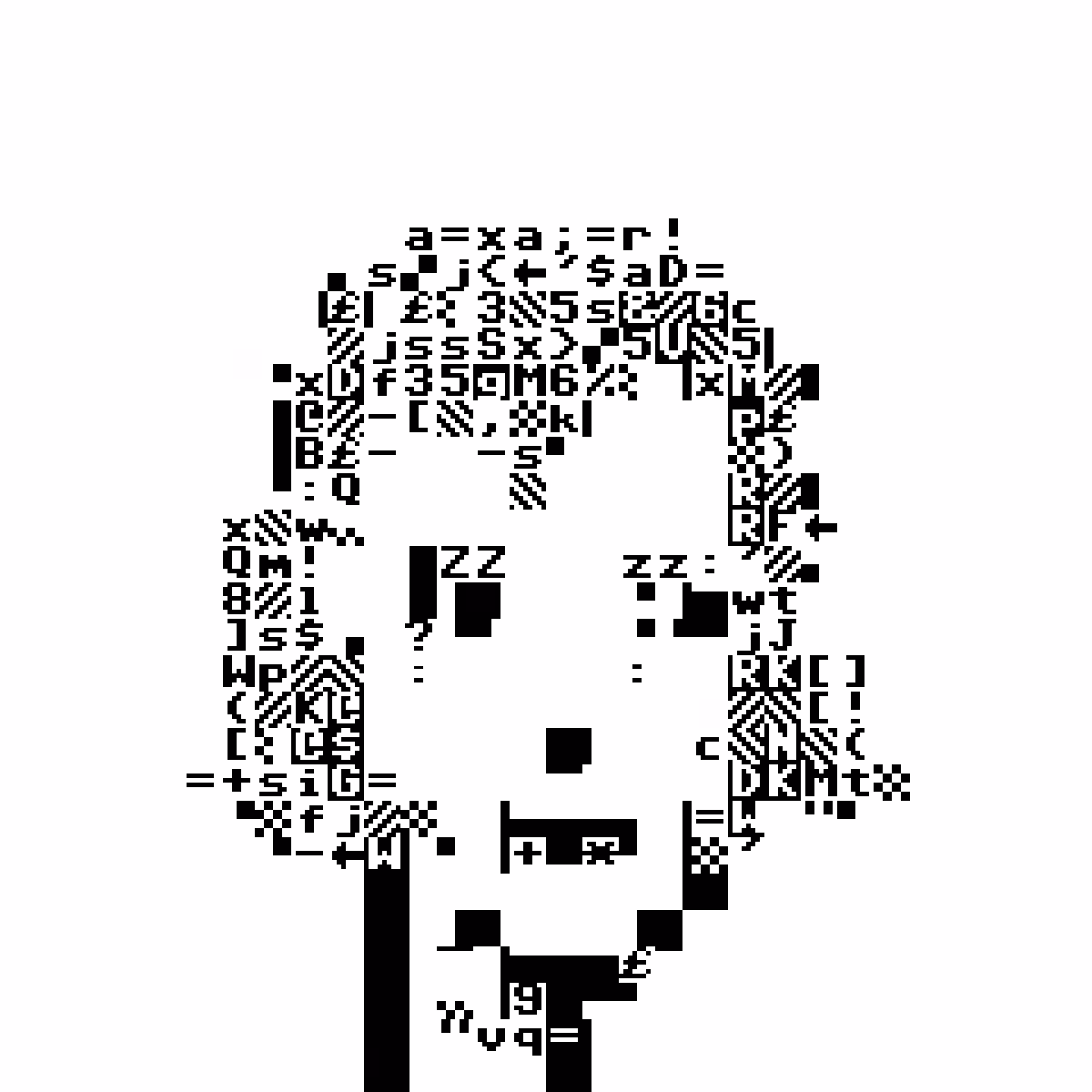 PET Punk 305