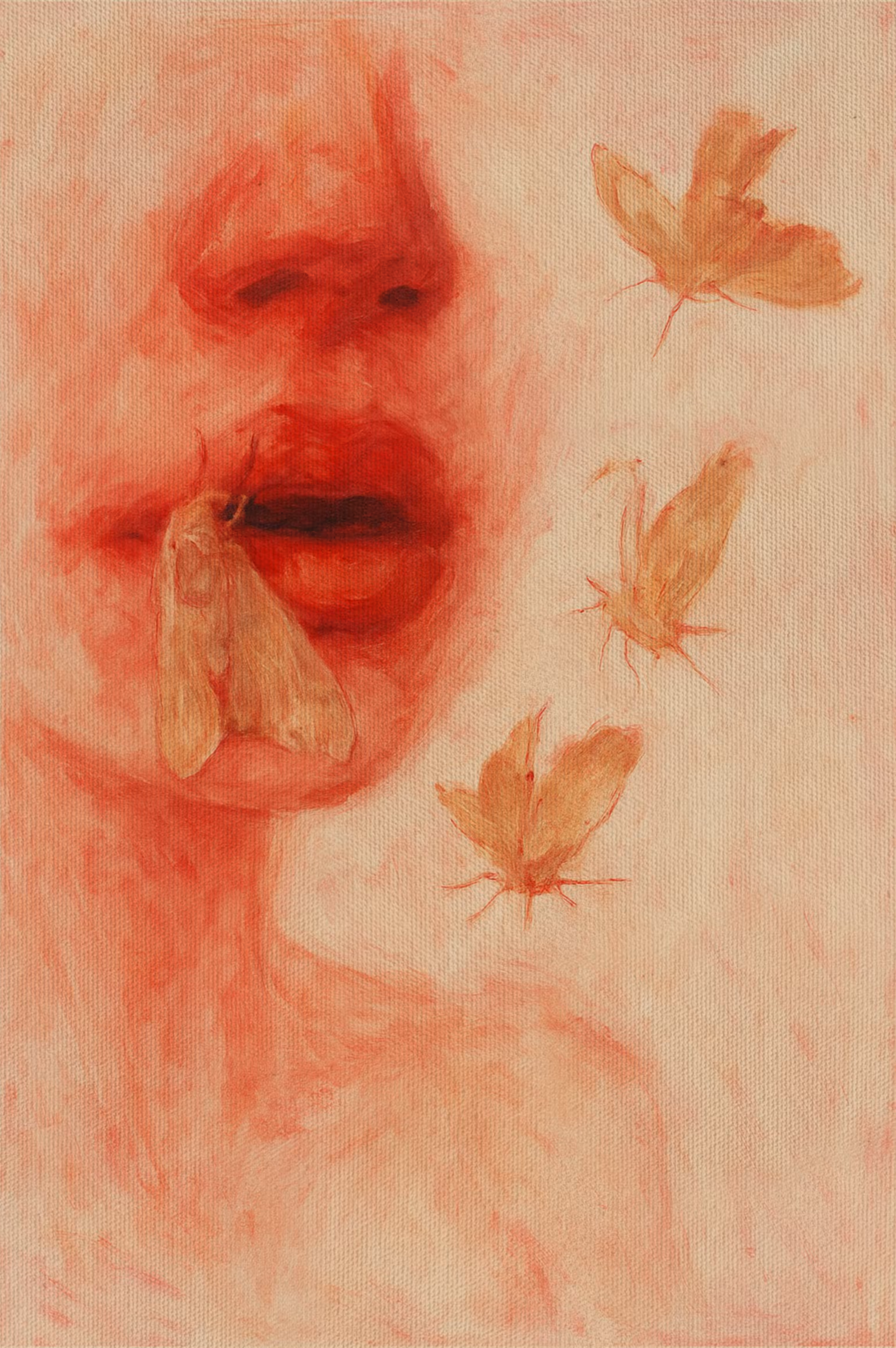 red moth