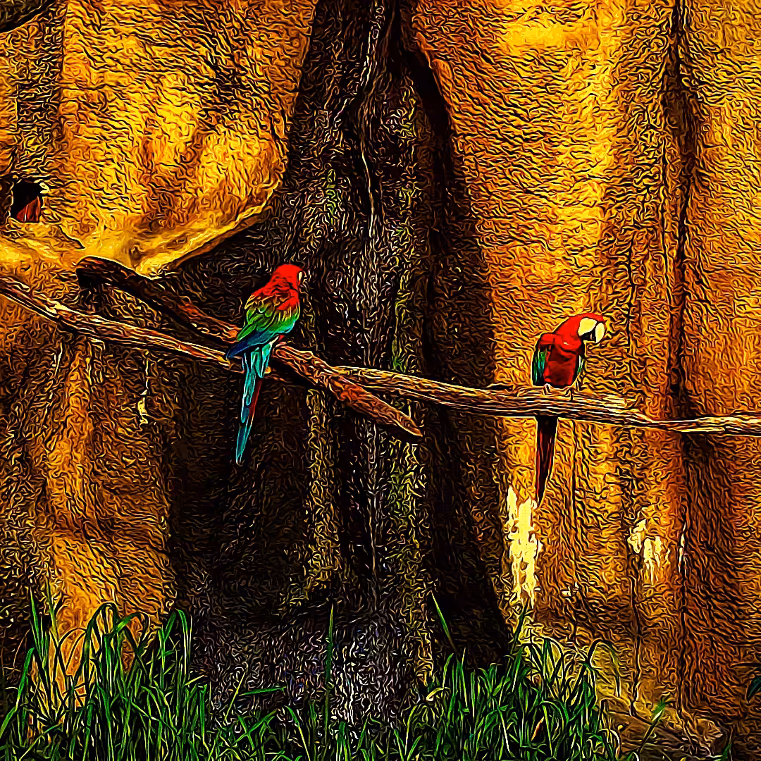 Conversation