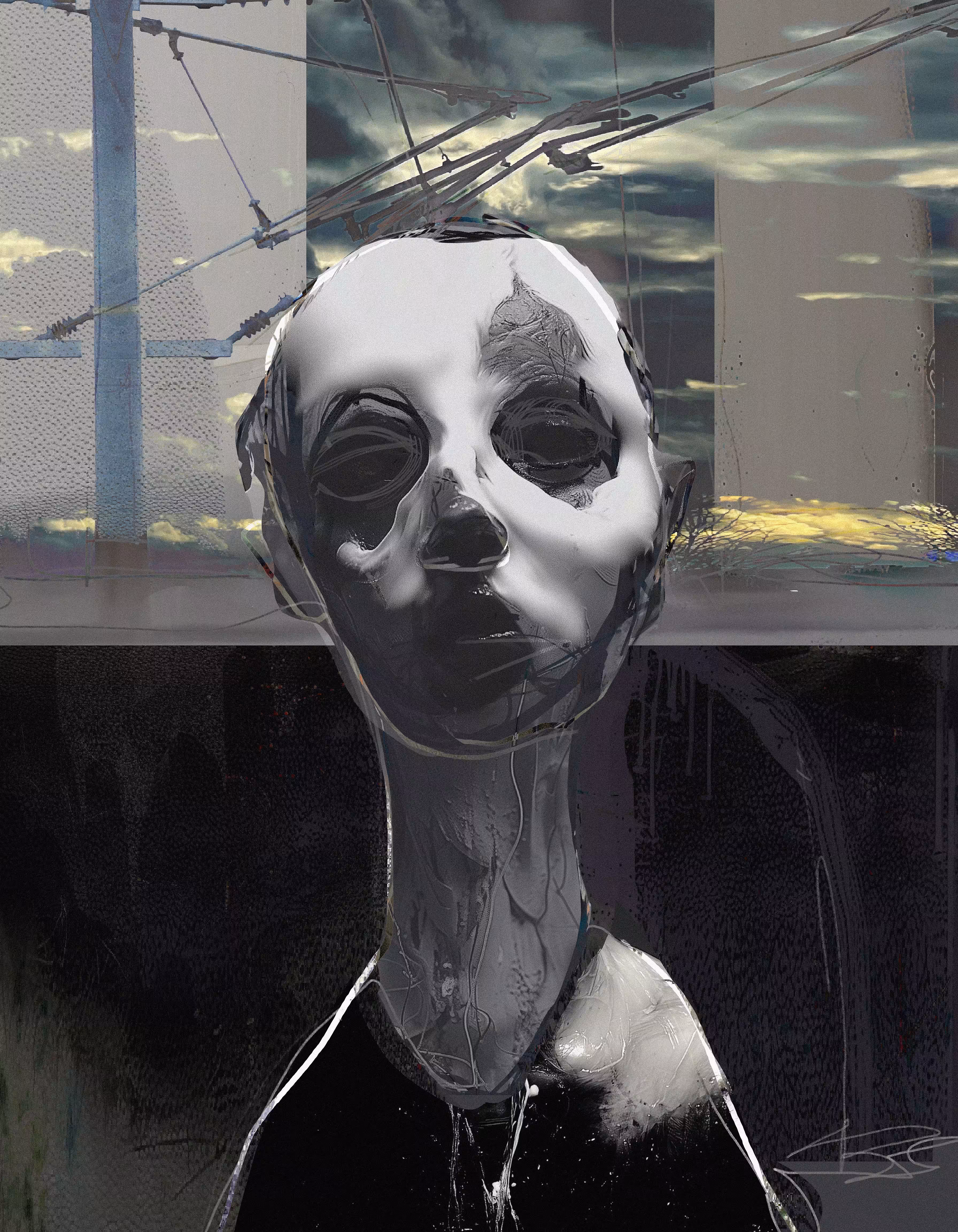 Sight