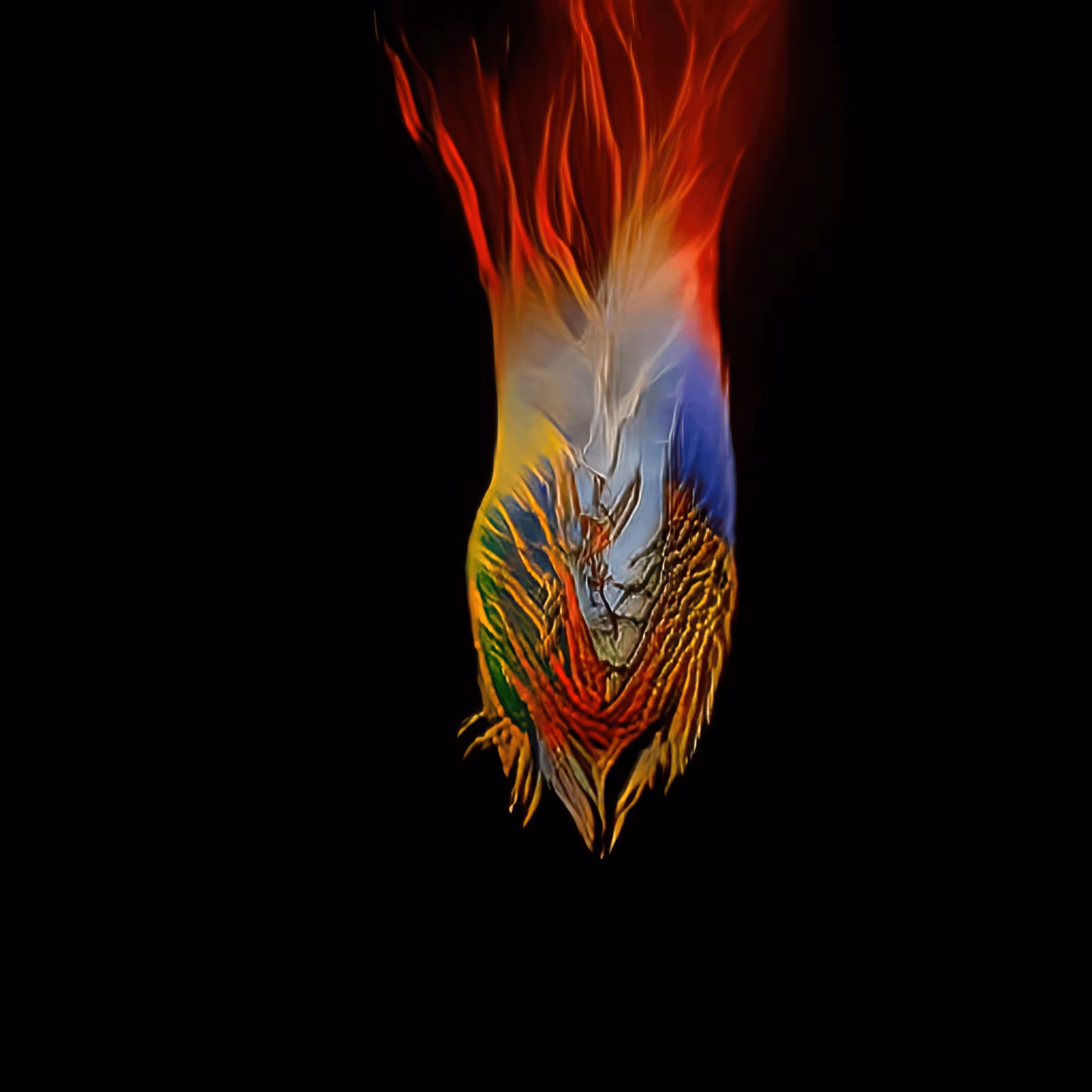 Phoenix 19